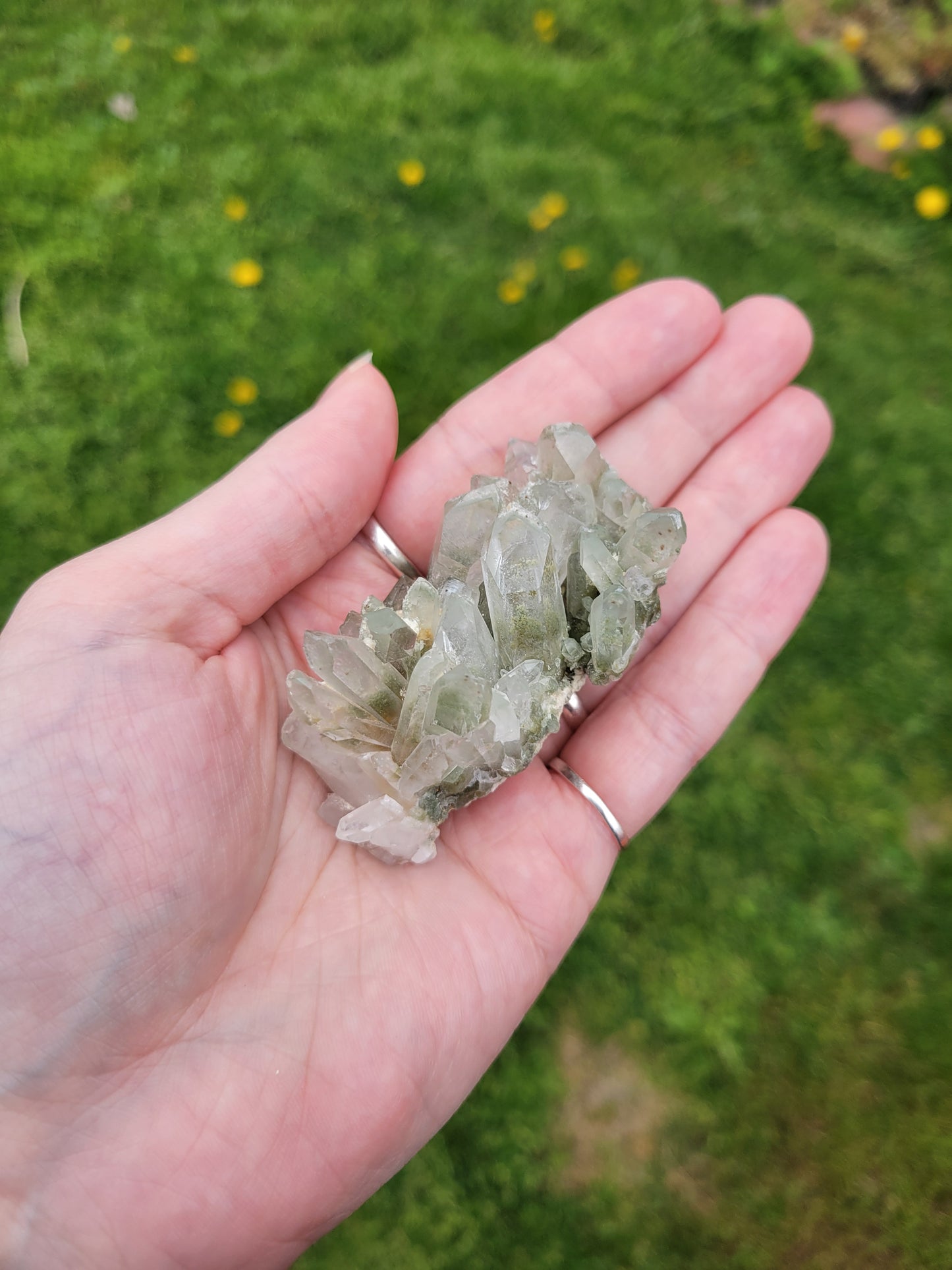 Chlorite Quartz
