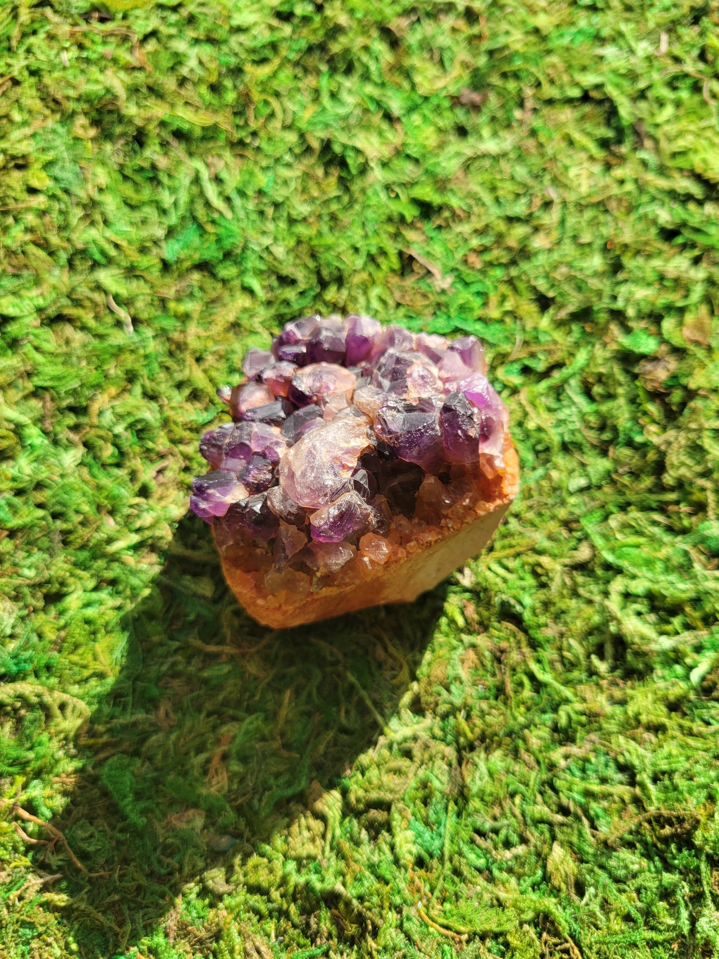 Alien Amethyst Drusy Freeform