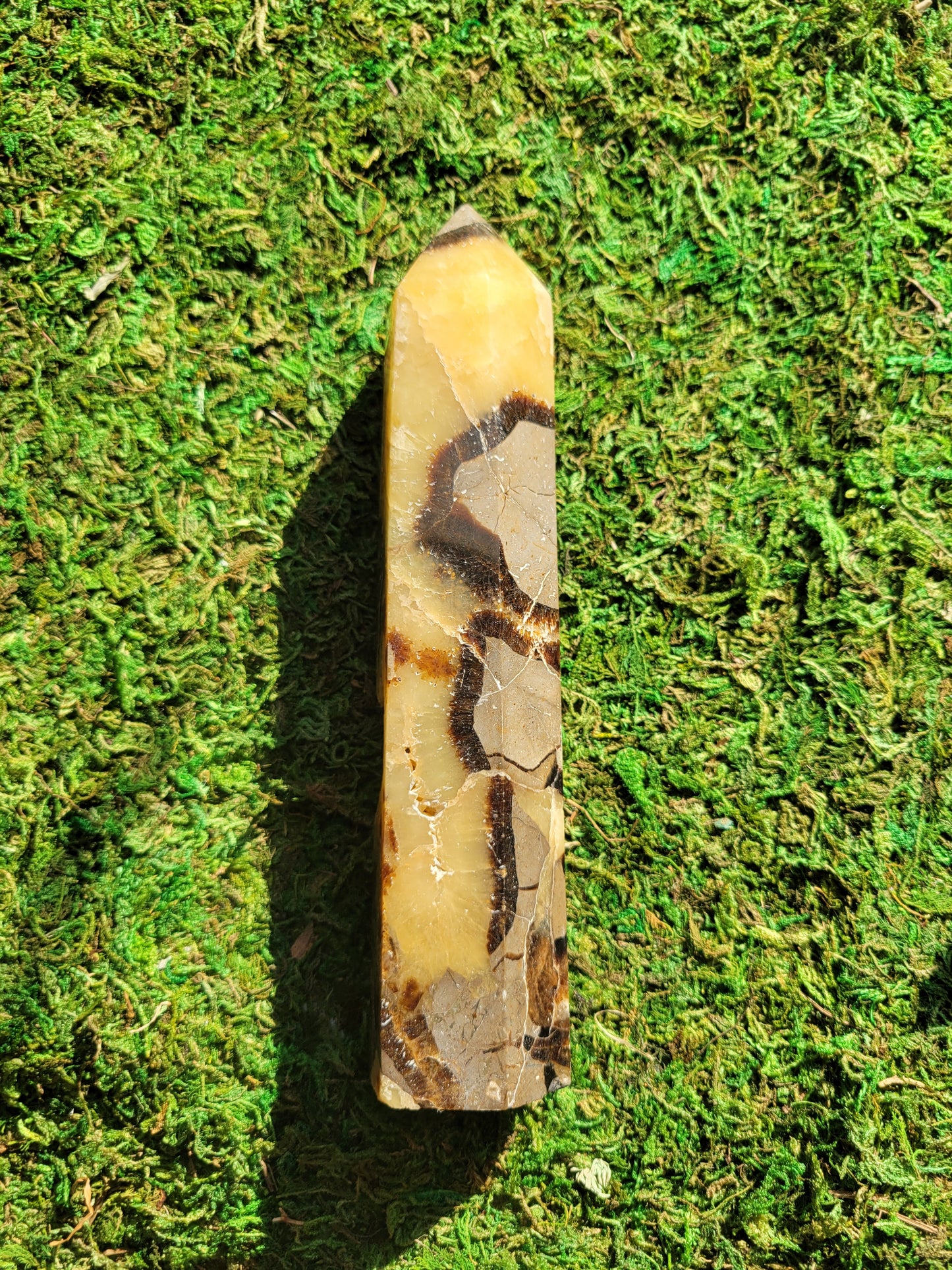 Septarian Tower