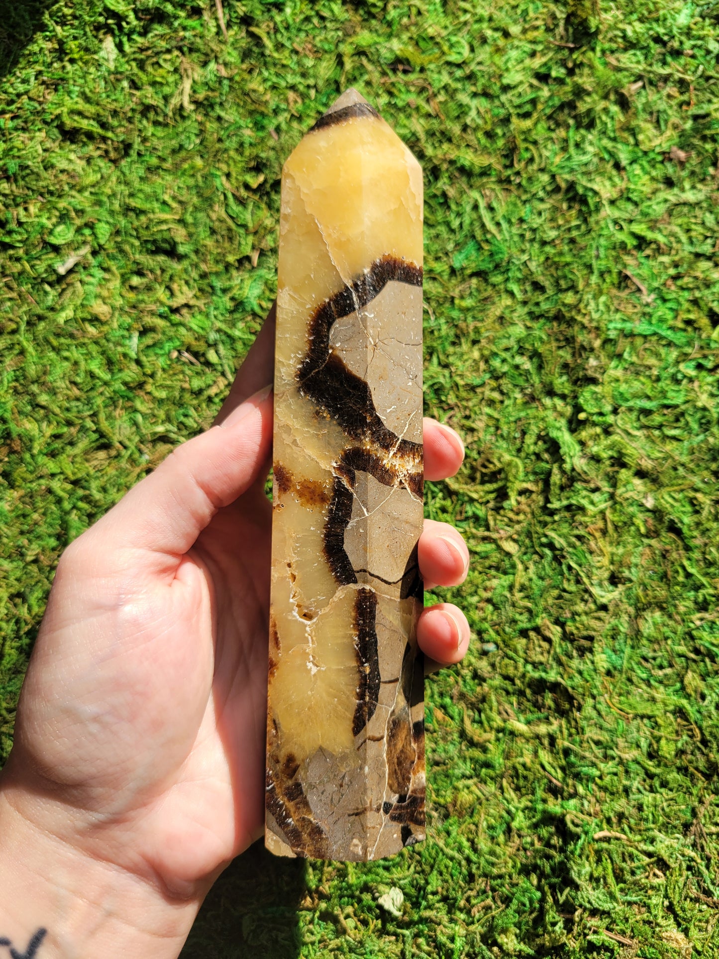 Septarian Tower
