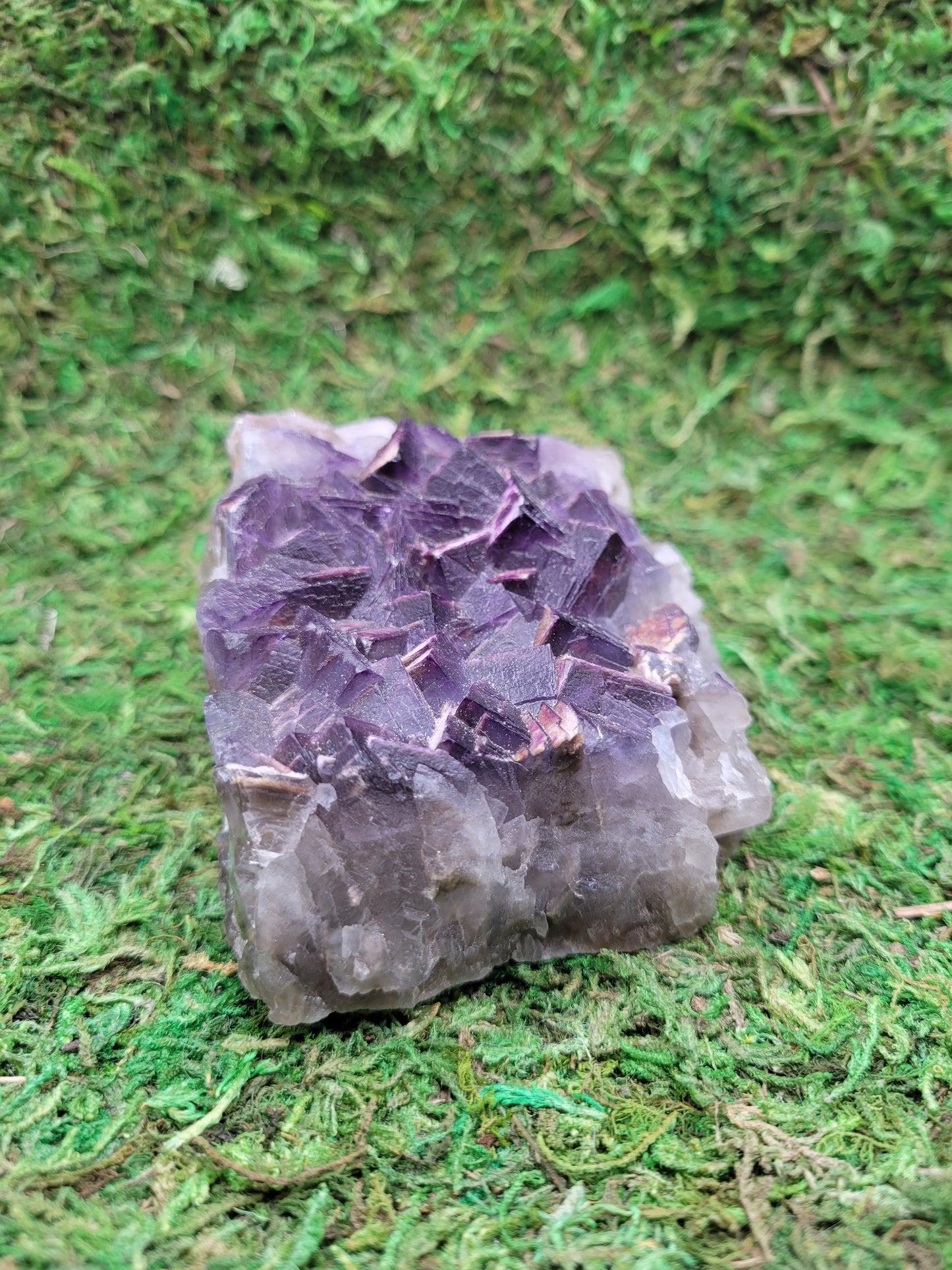 Cubic Fluorite Cluster