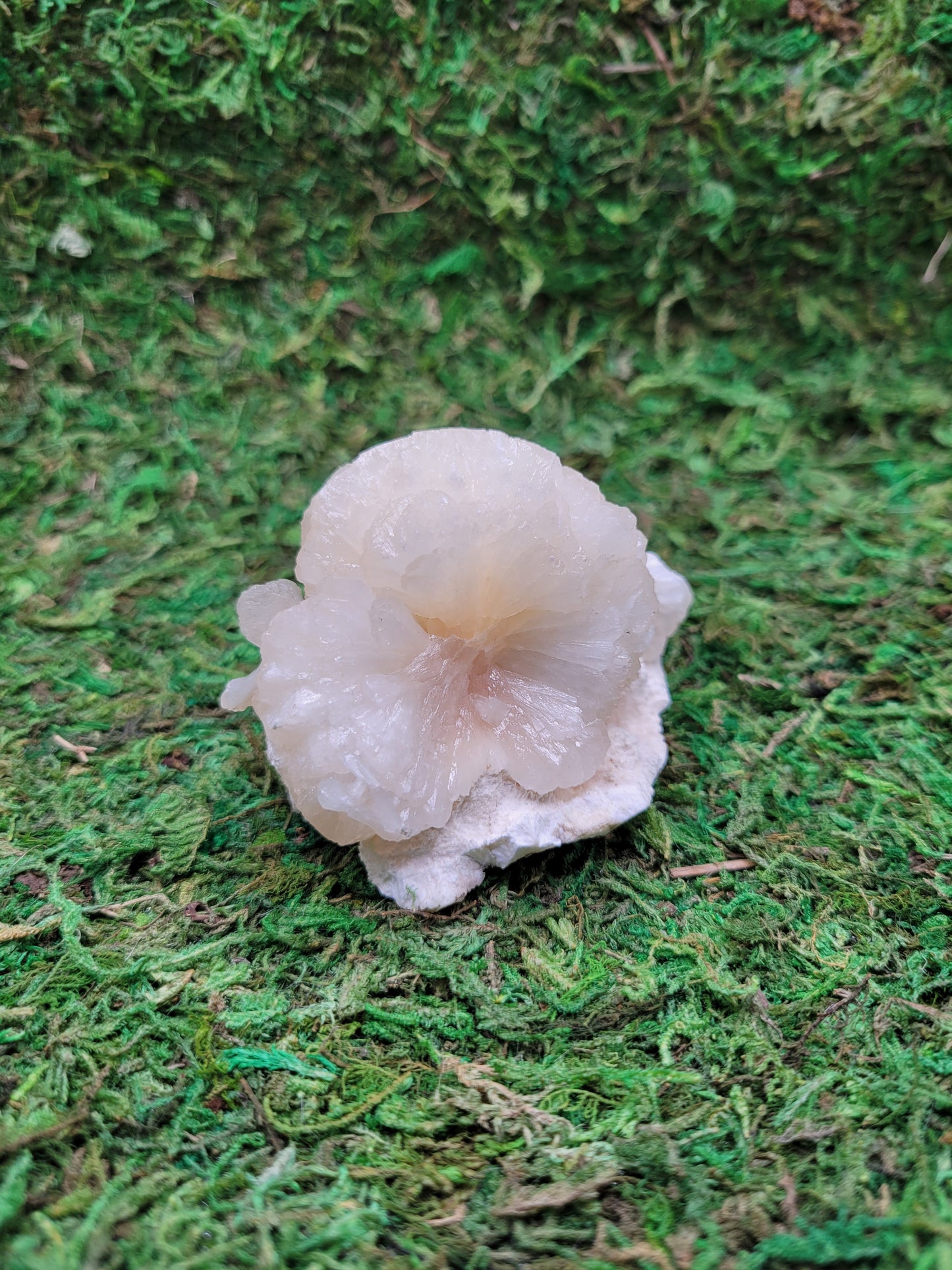 Stilbite Freeform