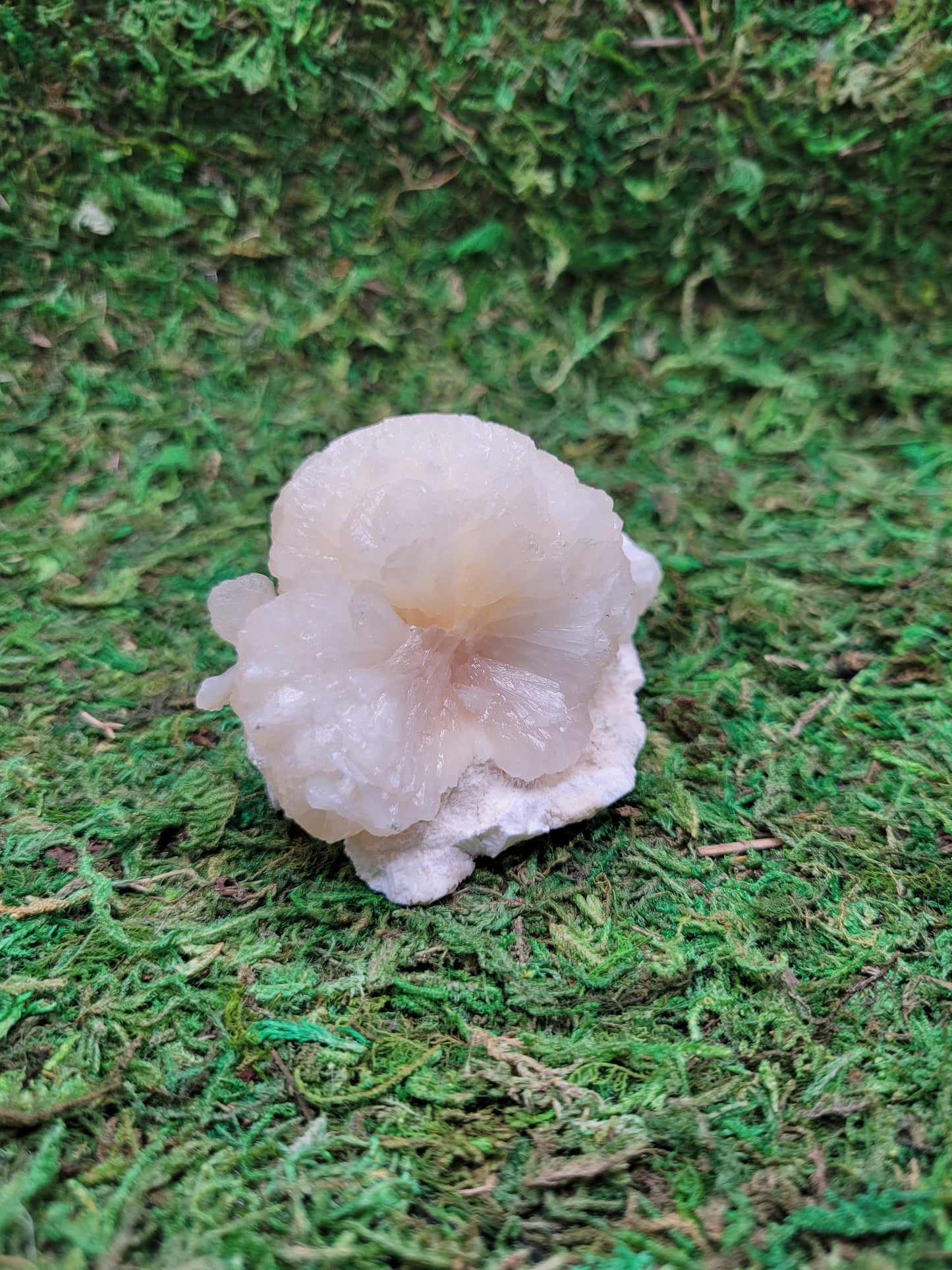 Stilbite Freeform