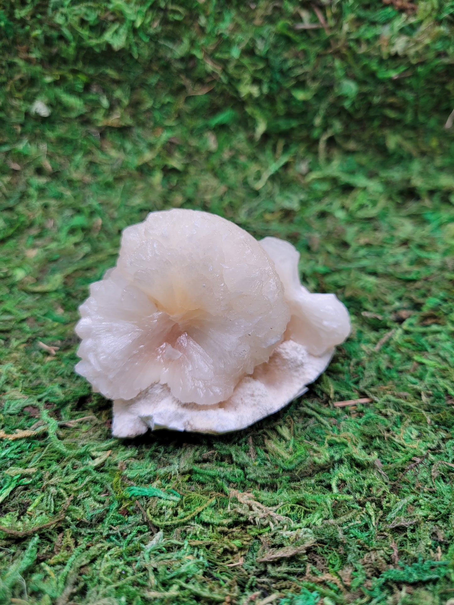 Stilbite Freeform