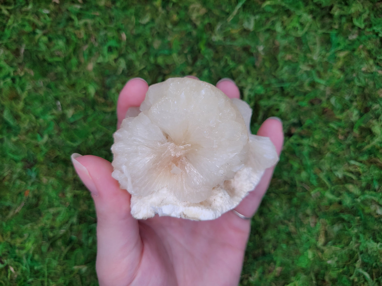 Stilbite Freeform