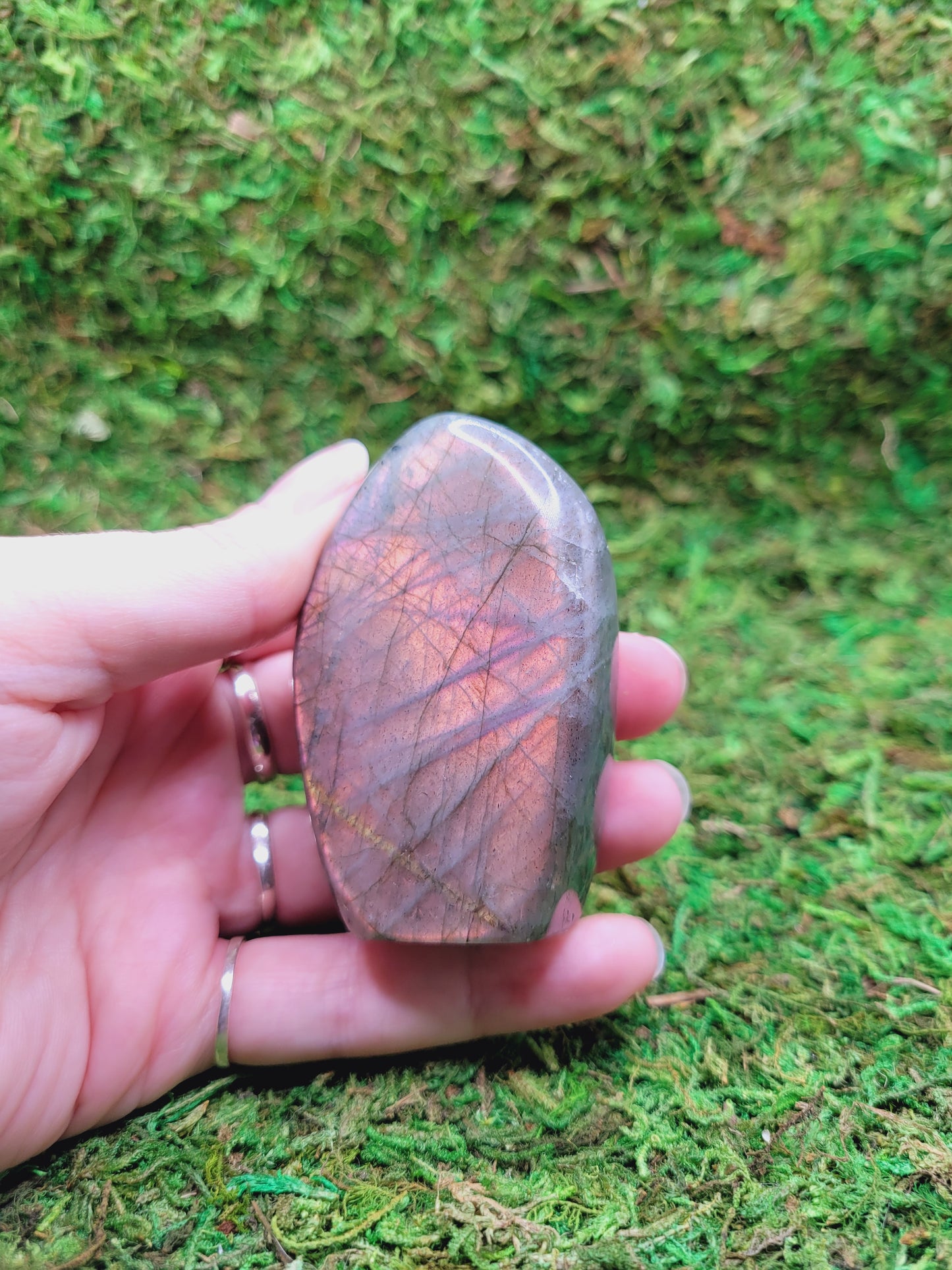 Labradorite Mini Freeform - Pink