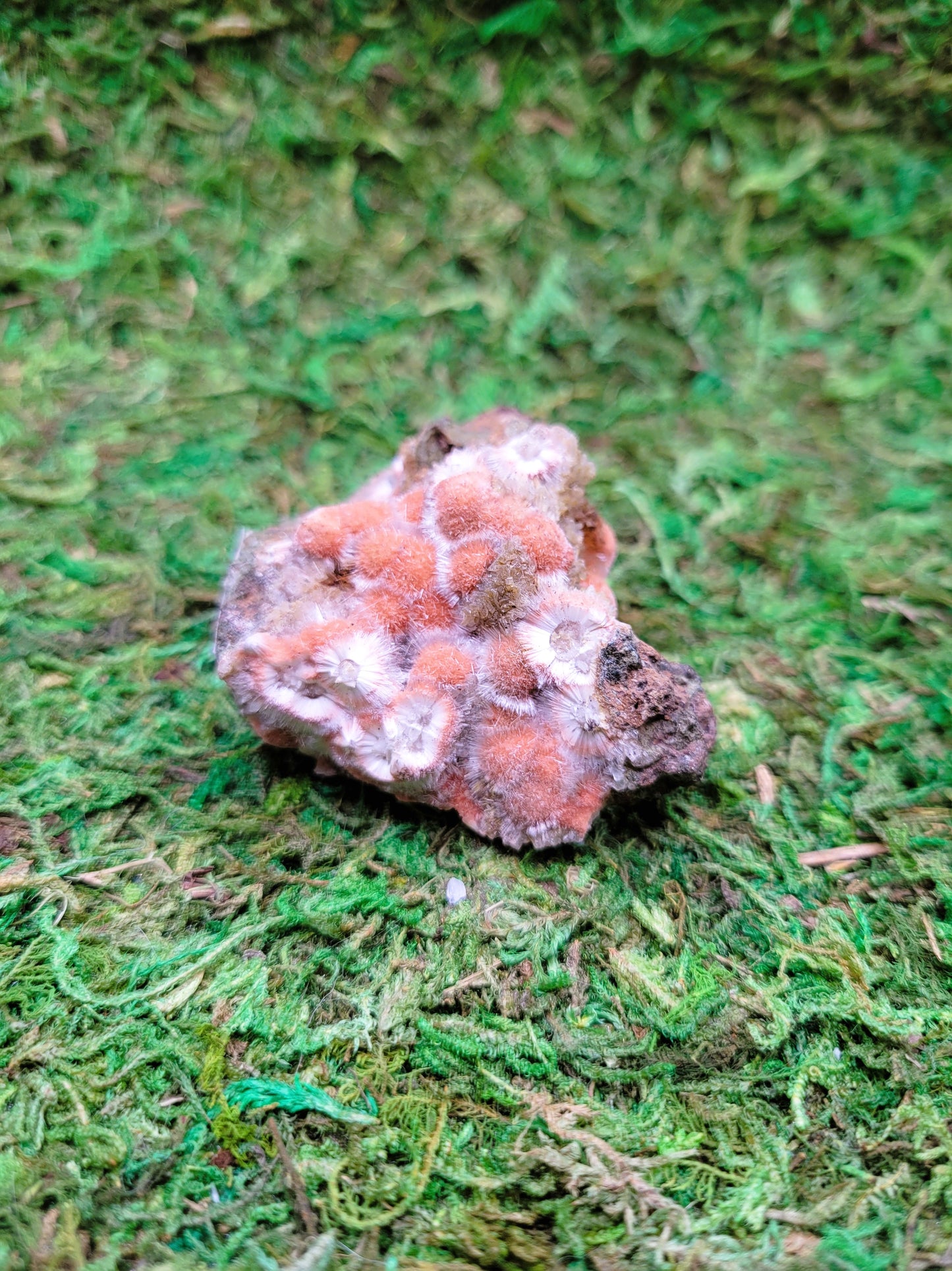 Thomsonite Cluster