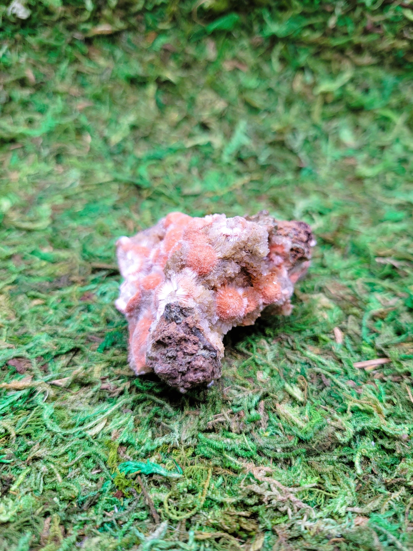 Thomsonite Cluster