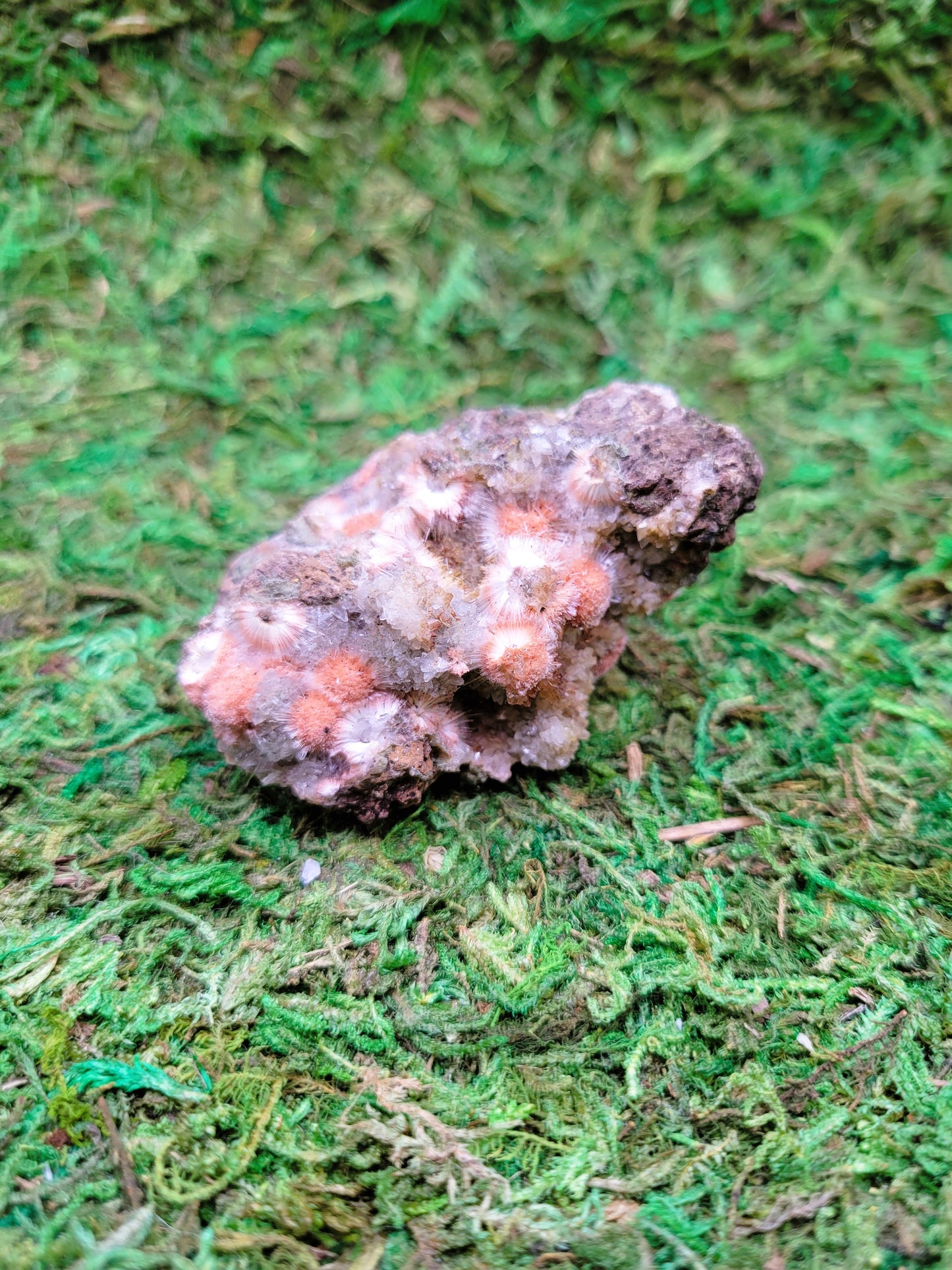 Thomsonite Cluster