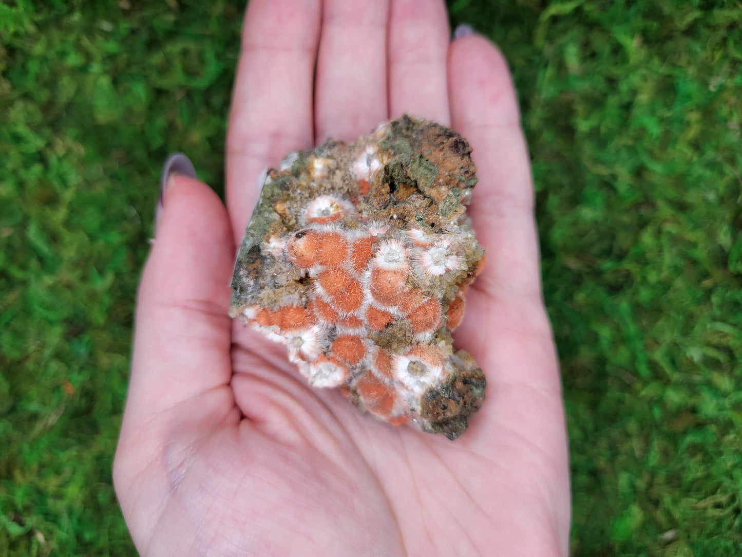 Thomsonite Cluster