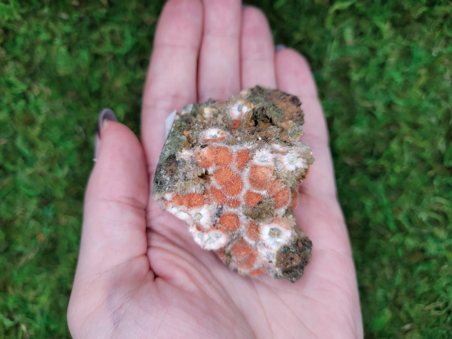 Thomsonite Cluster