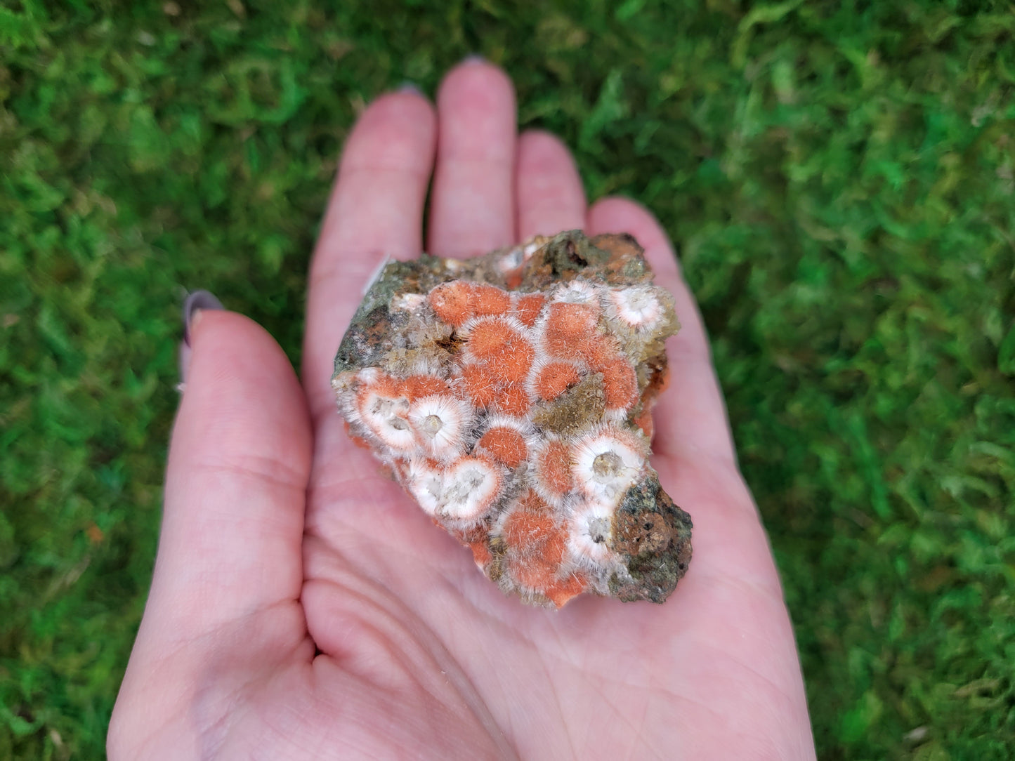 Thomsonite Cluster