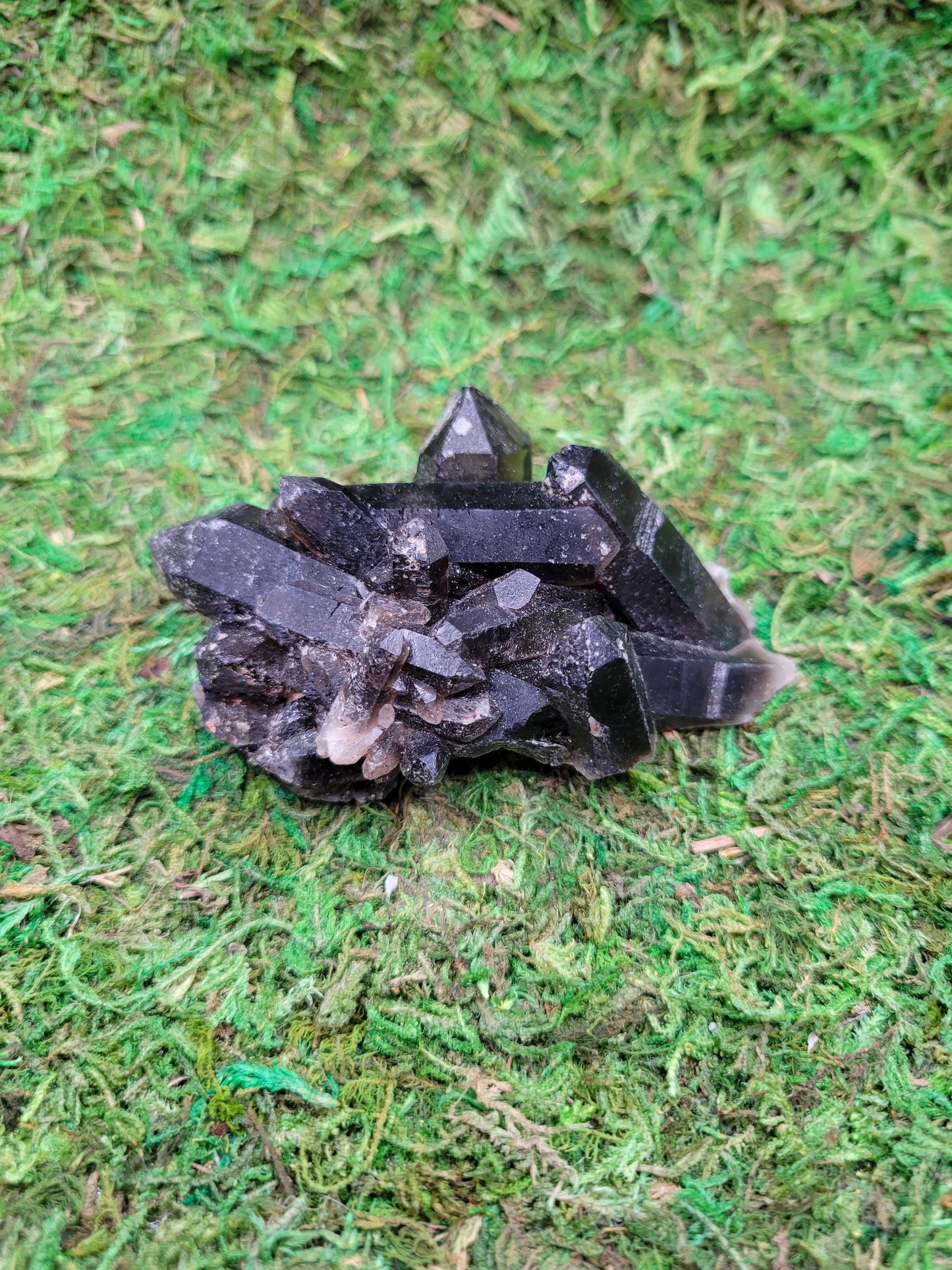 Smoky Quartz Cluster
