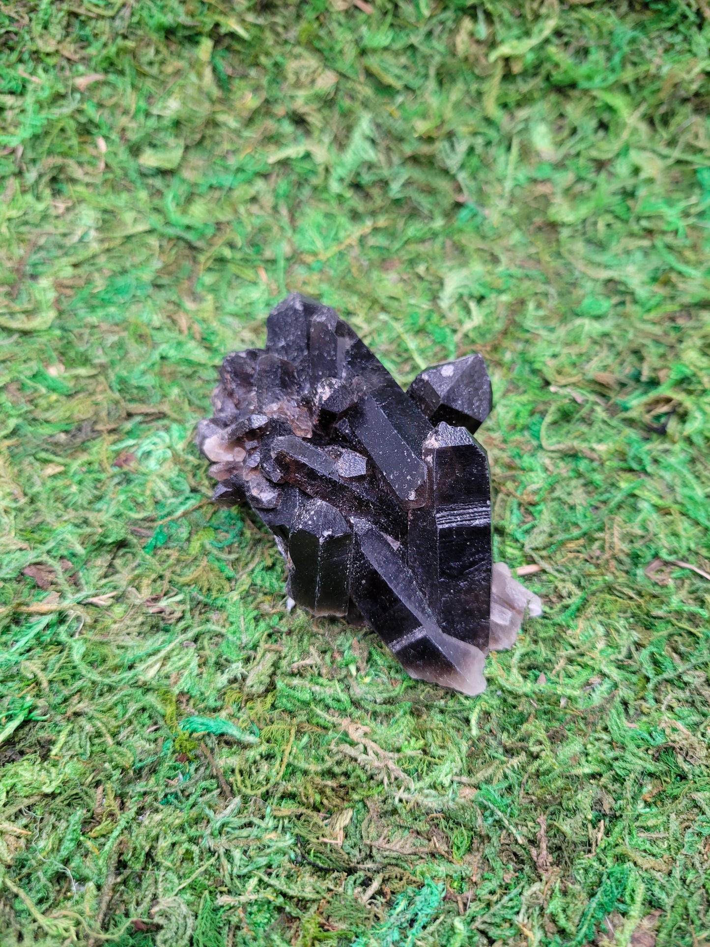 Smoky Quartz Cluster
