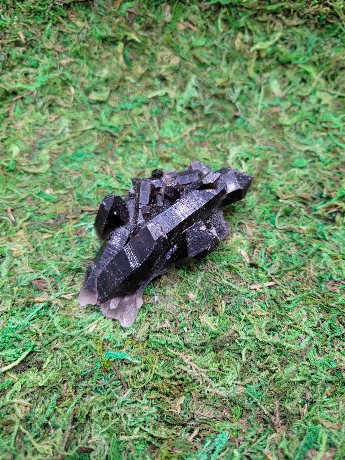 Smoky Quartz Cluster