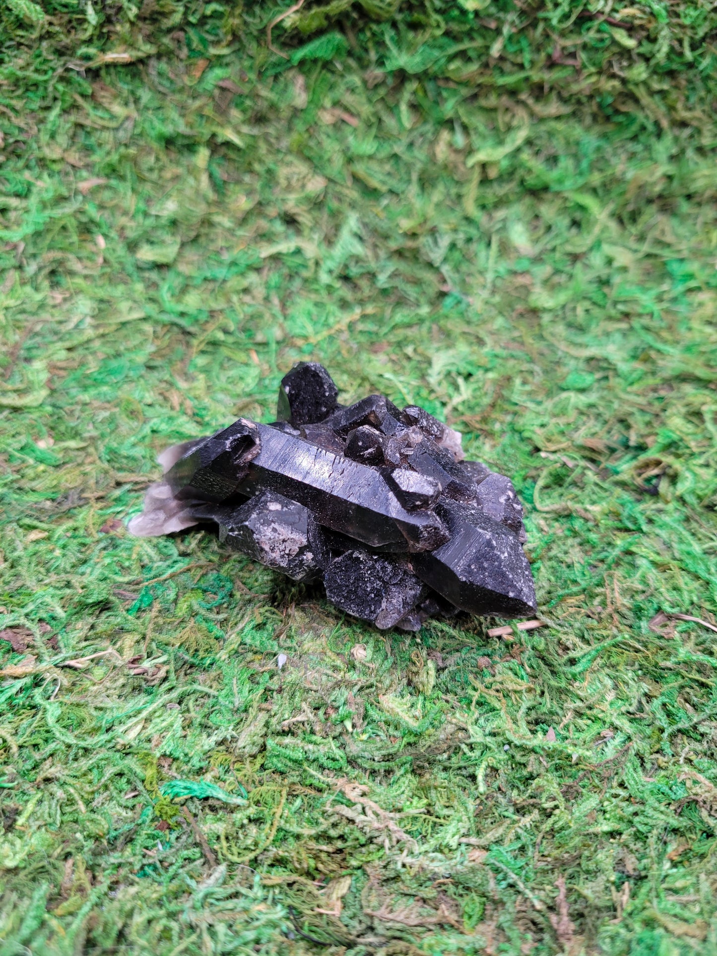 Smoky Quartz Cluster