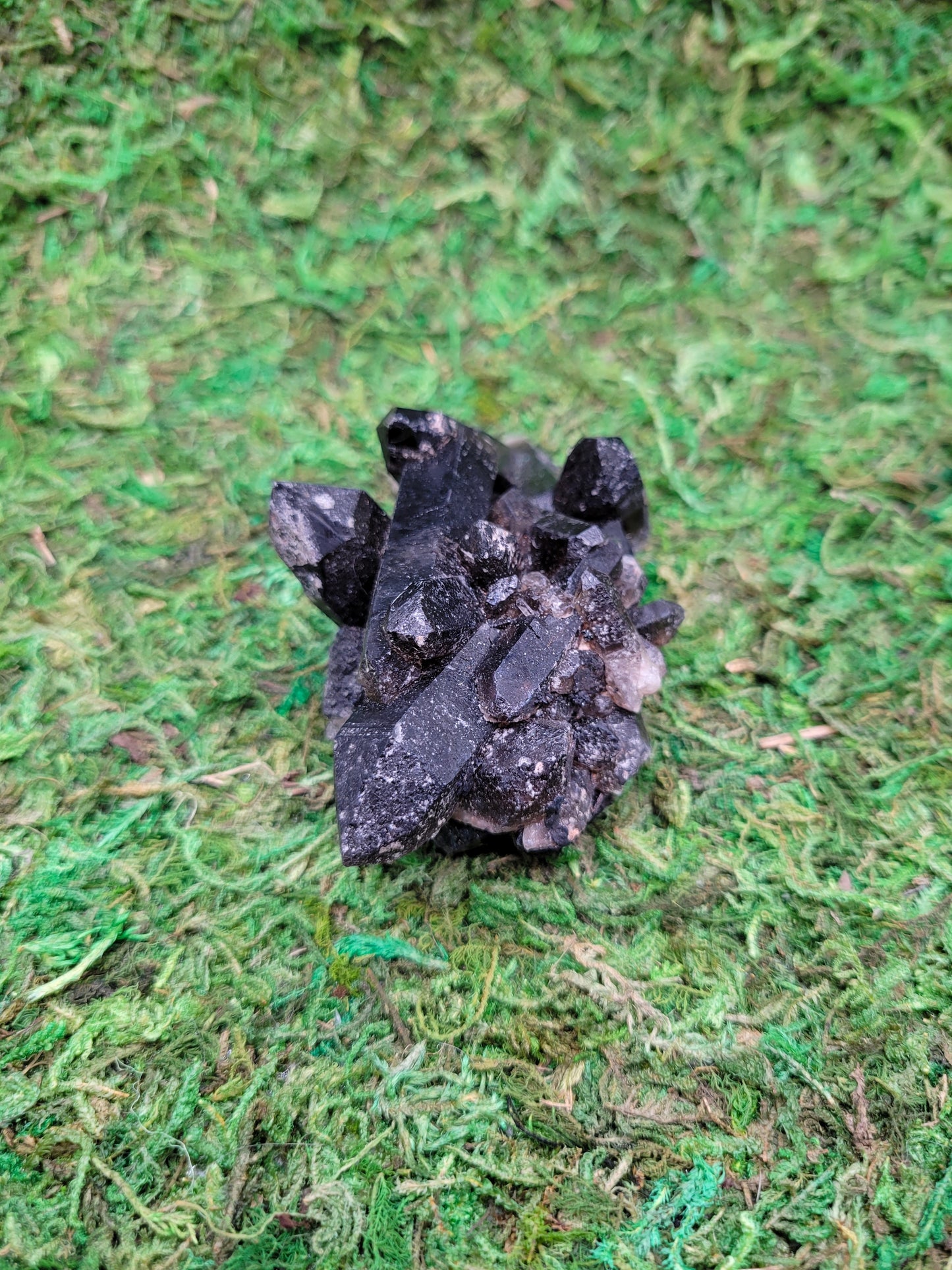 Smoky Quartz Cluster