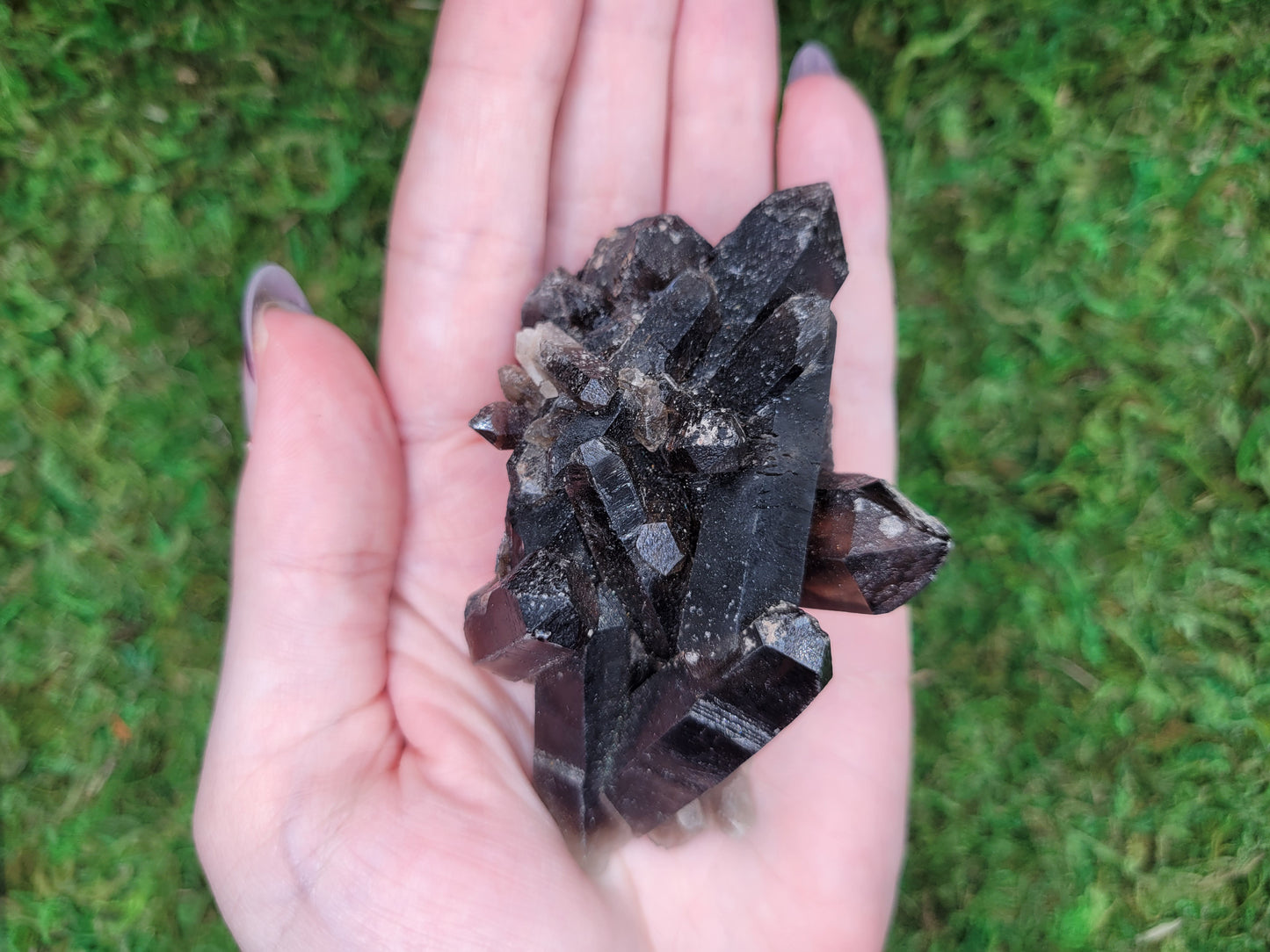 Smoky Quartz Cluster