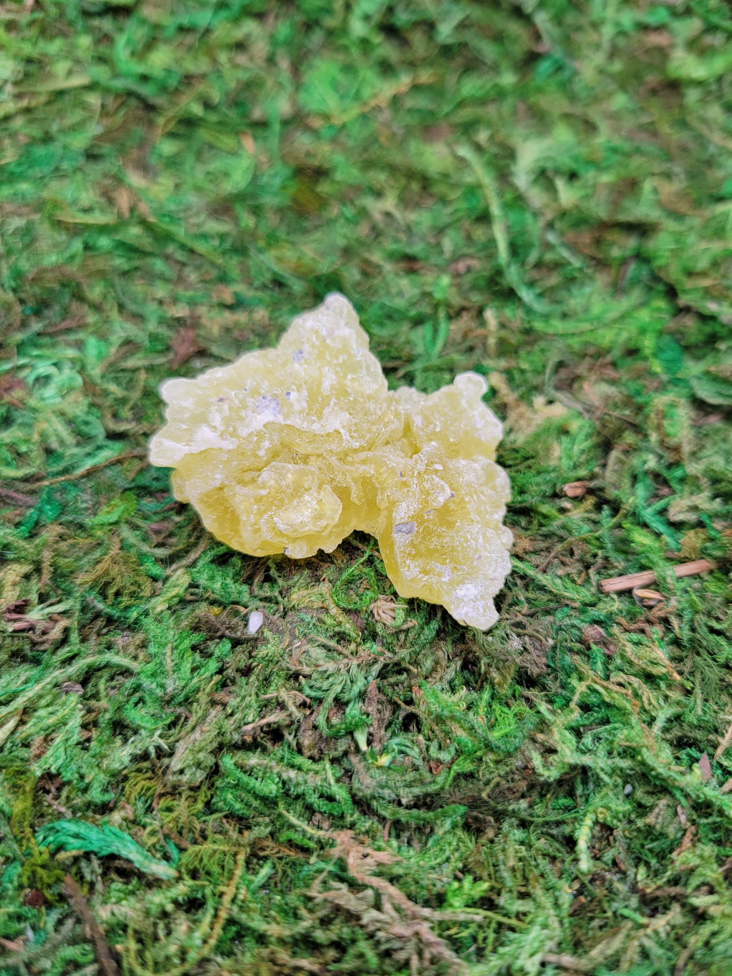 Brucite Cluster