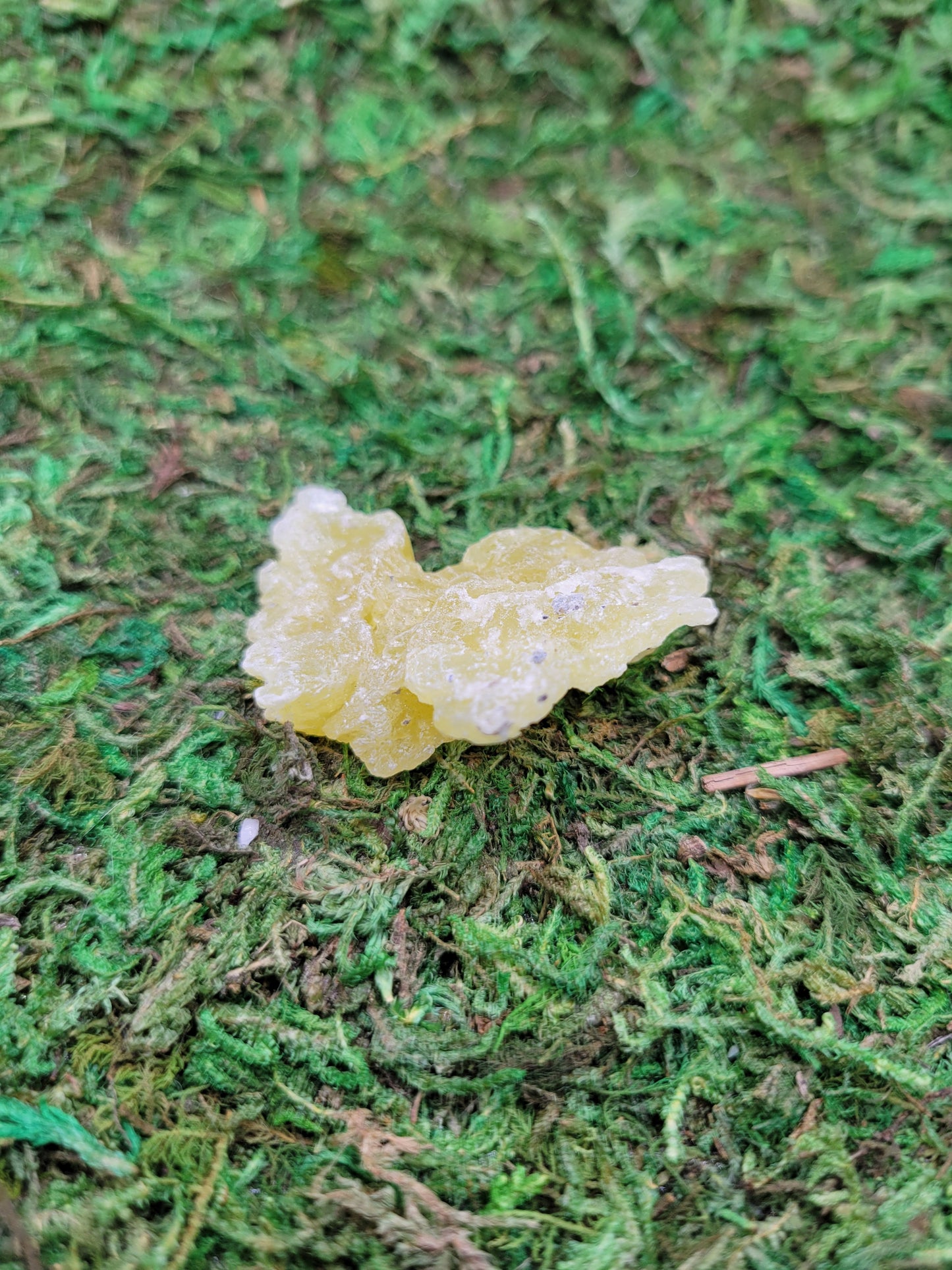 Brucite Cluster
