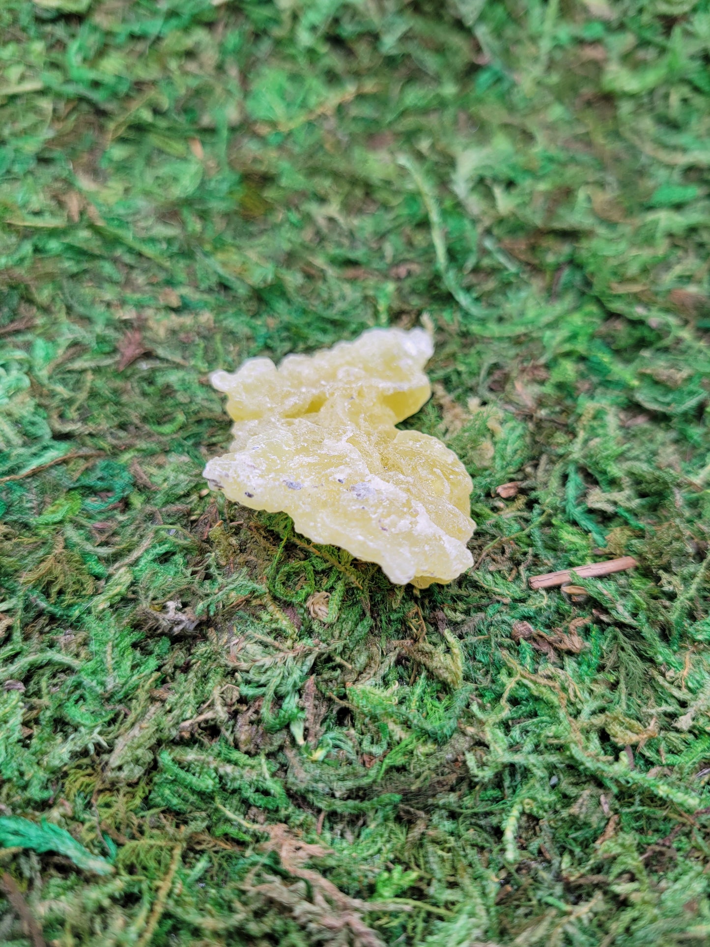 Brucite Cluster