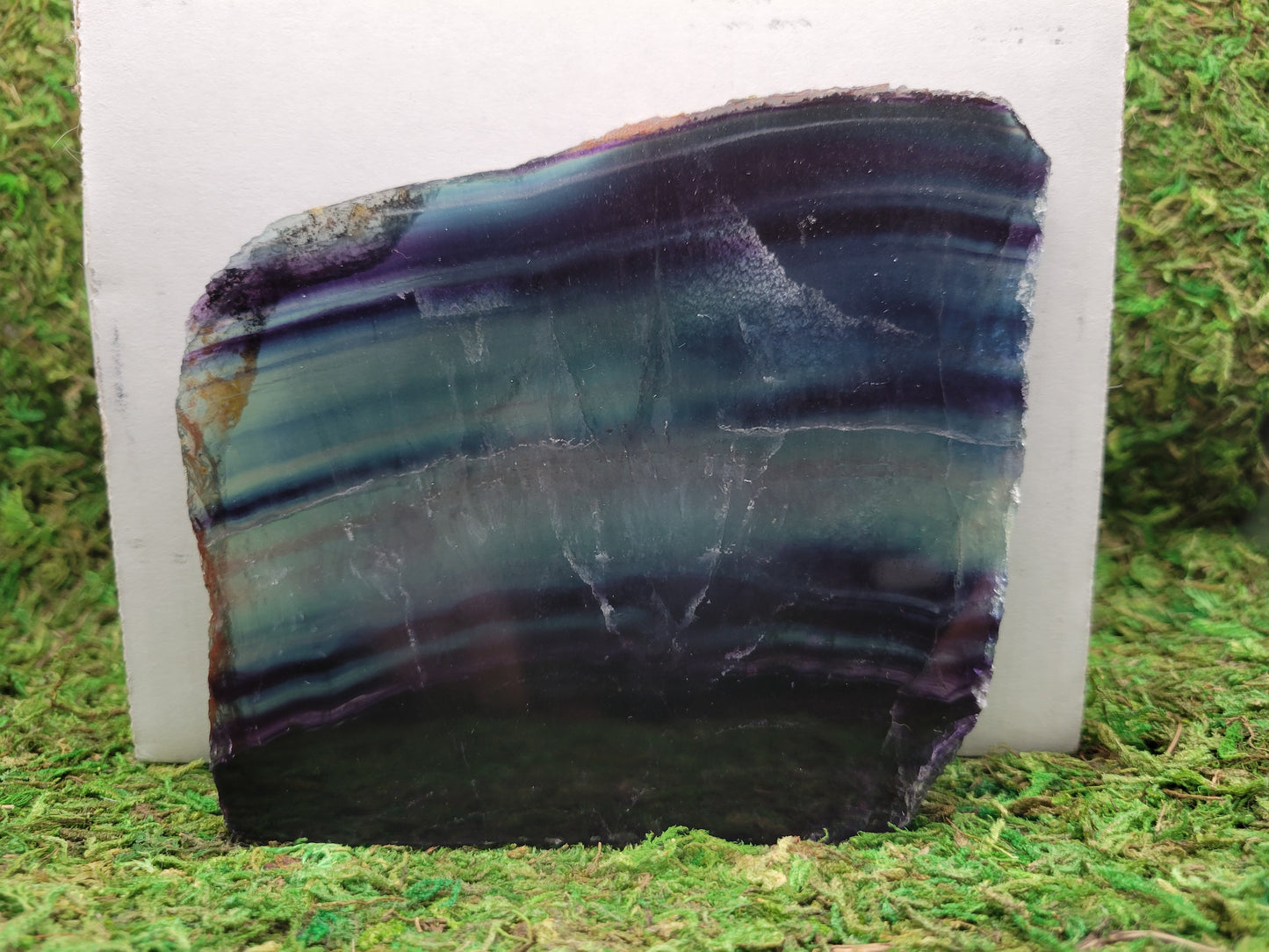 Rainbow Fluorite Slab