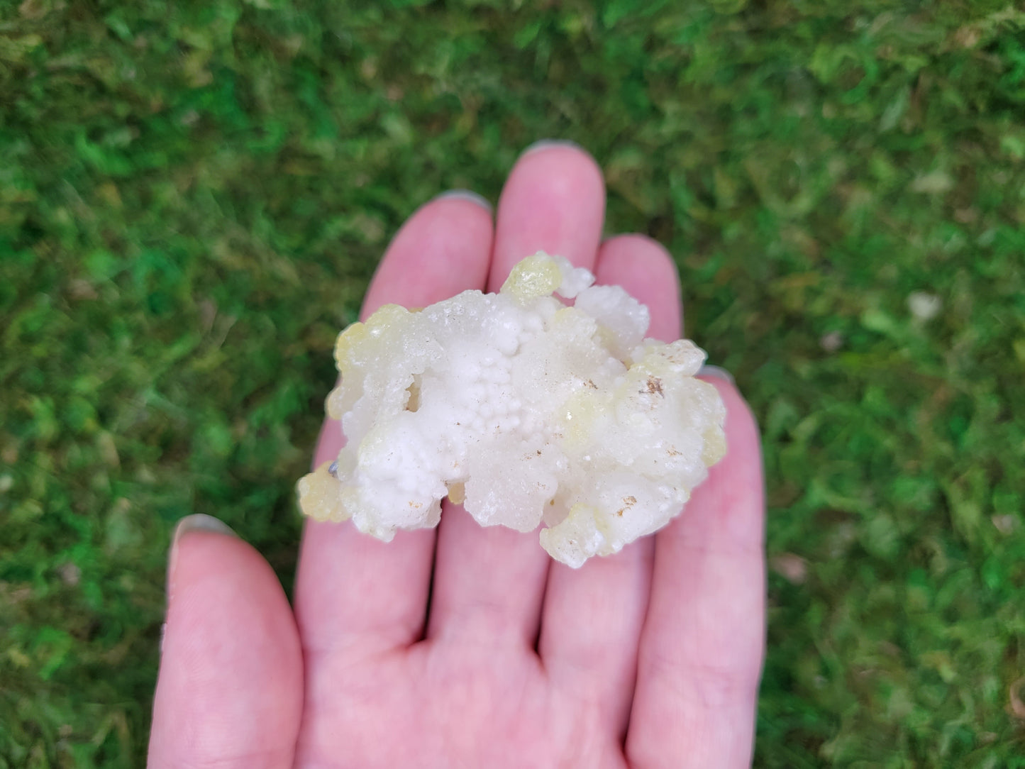 Brucite Cluster