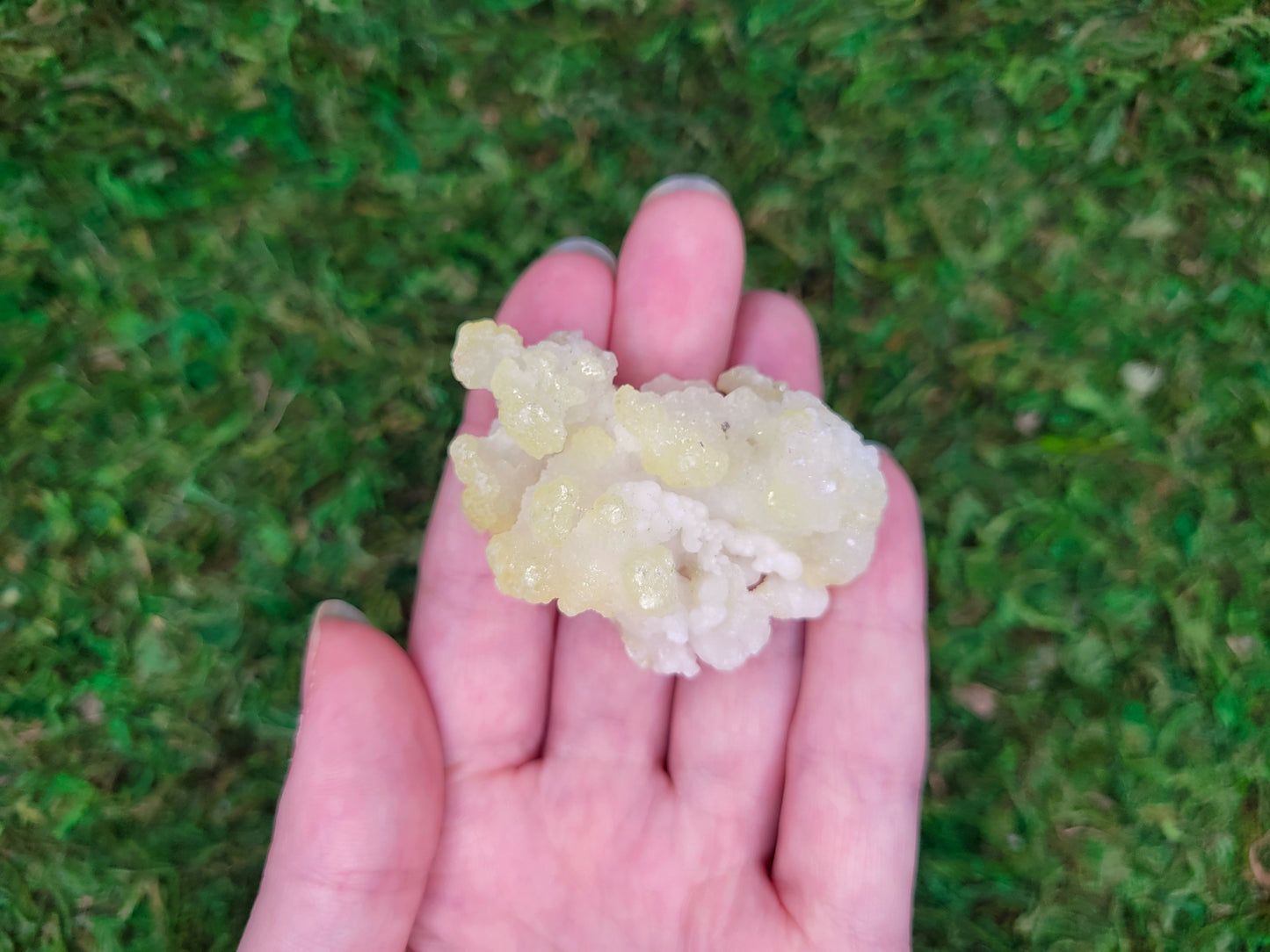 Brucite Cluster