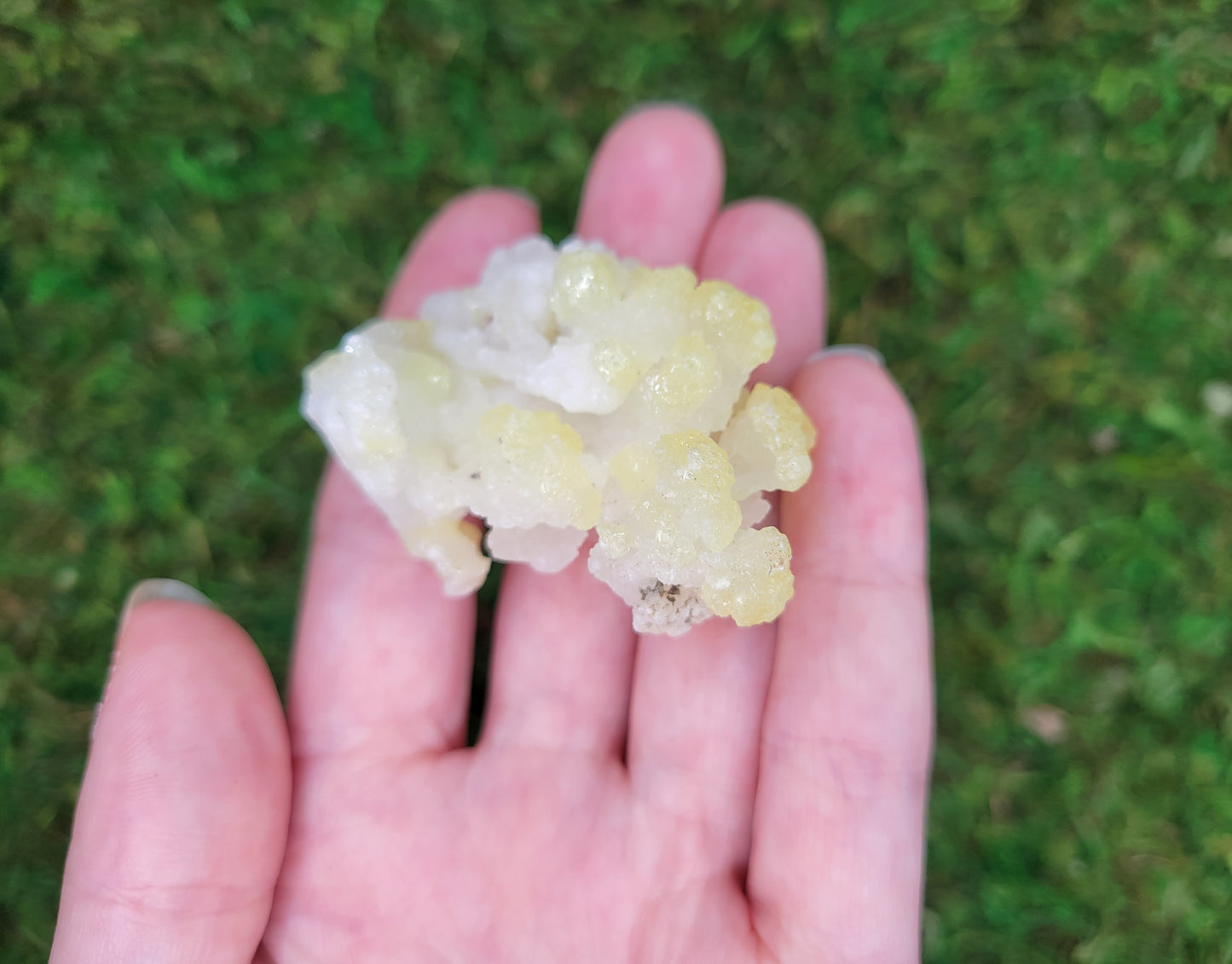 Brucite Cluster
