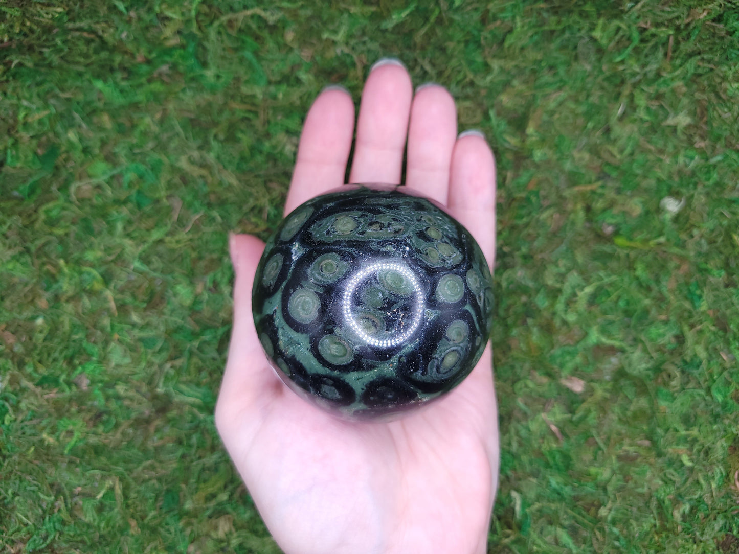 Kambaba Jasper Sphere
