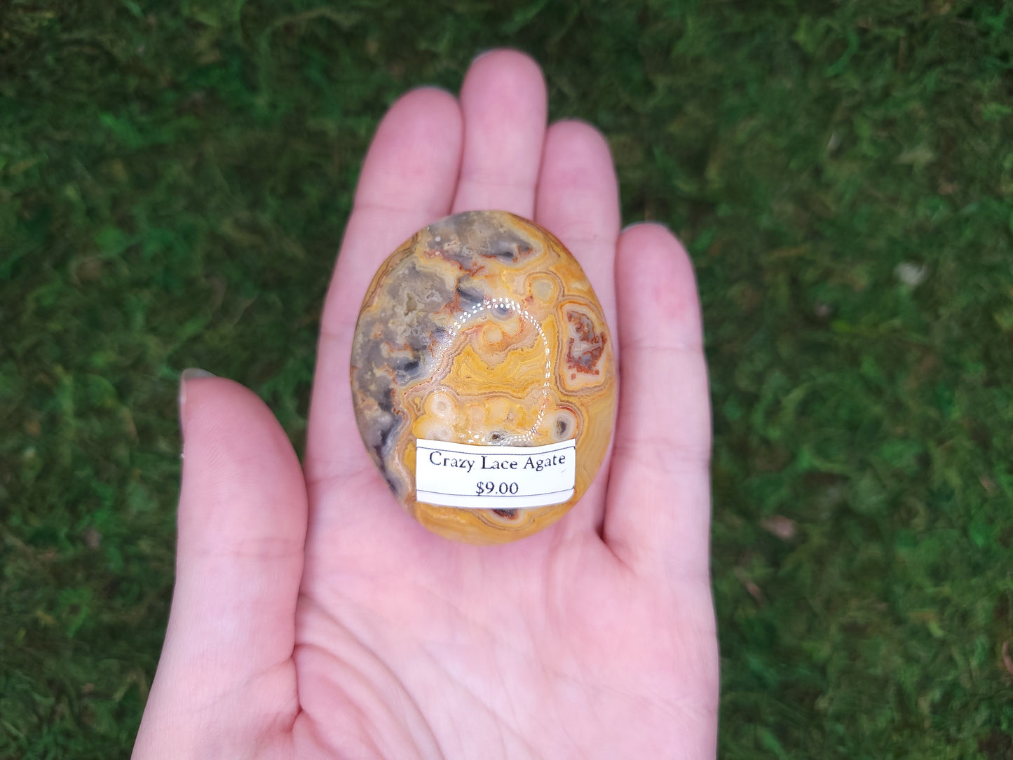 Crazy Lace Agate Palm Stone