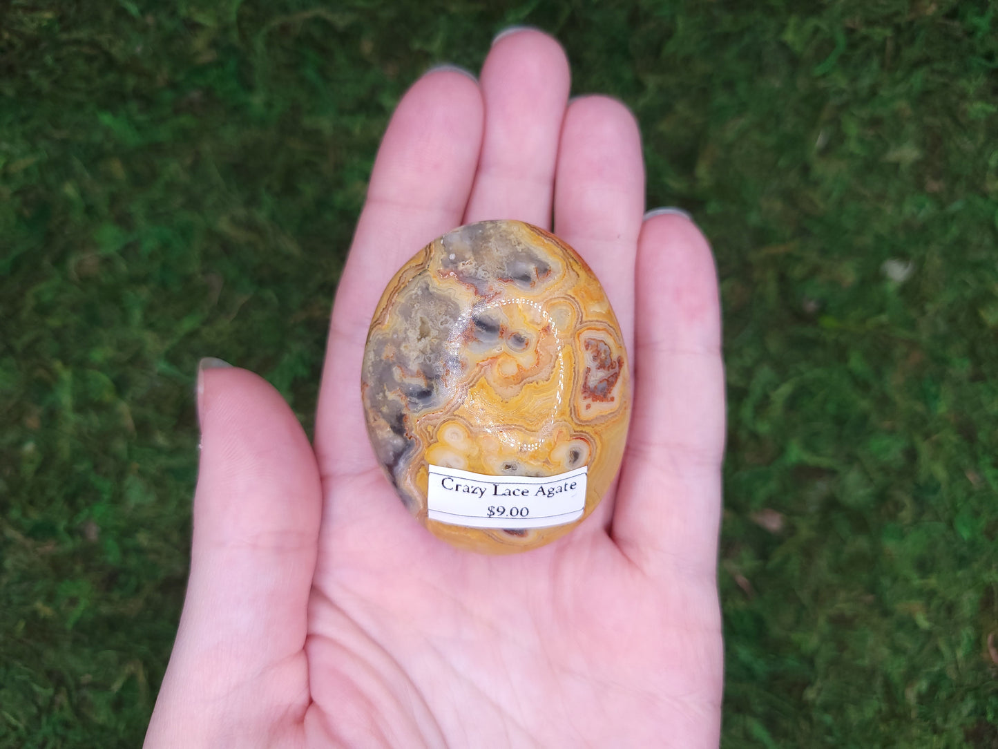 Crazy Lace Agate Palm Stone
