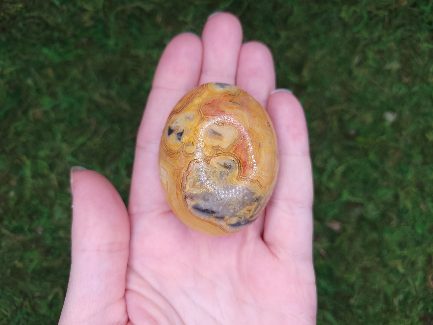 Crazy Lace Agate Palm Stone
