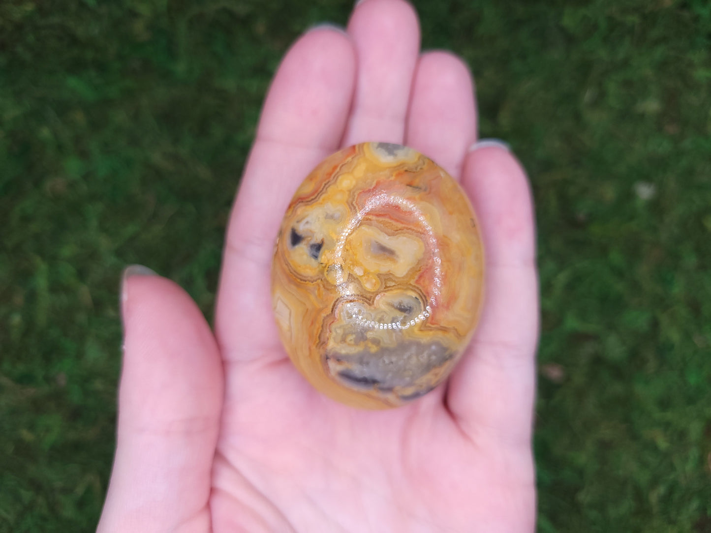 Crazy Lace Agate Palm Stone