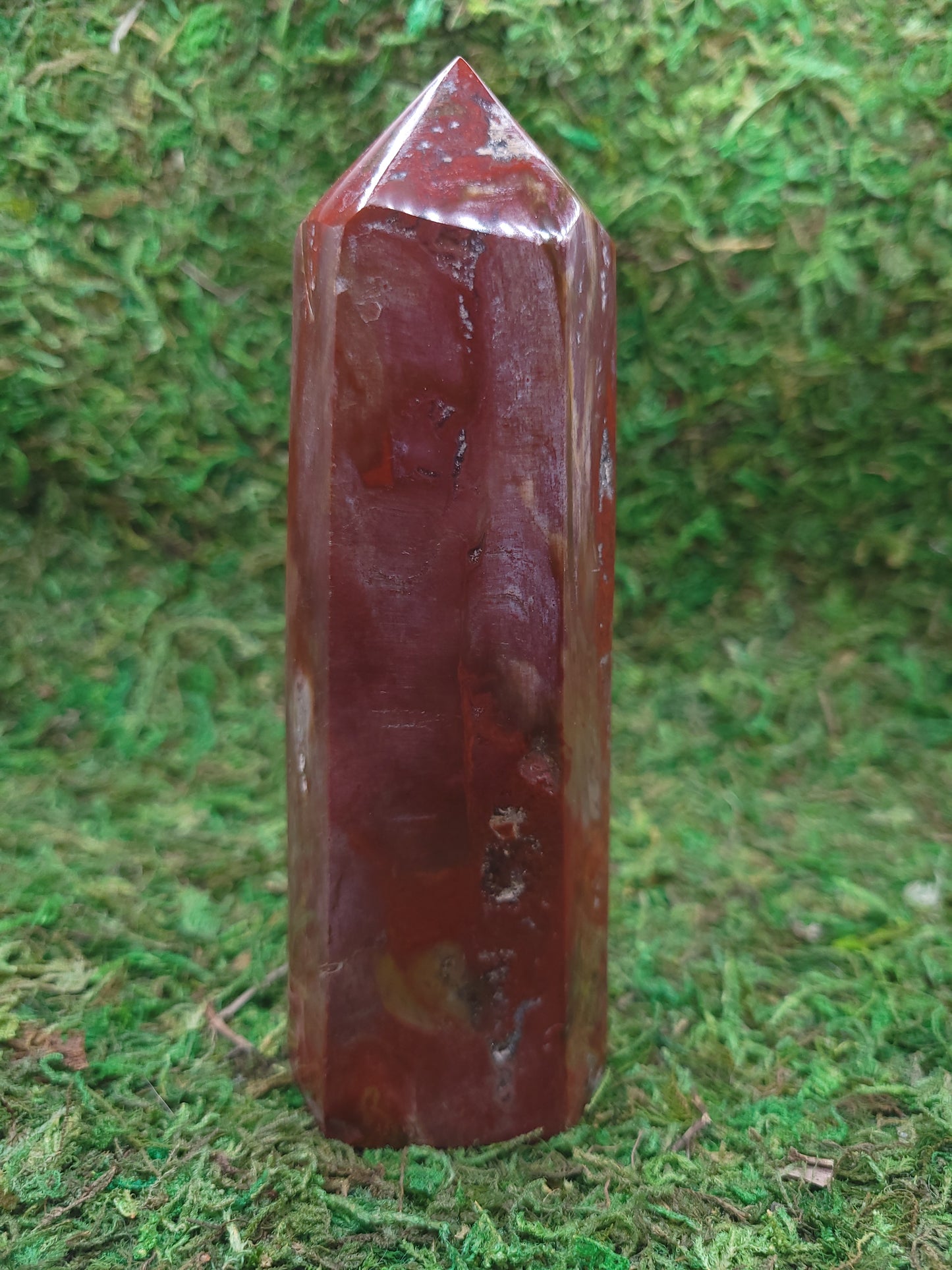 Petrified Wood Tower
