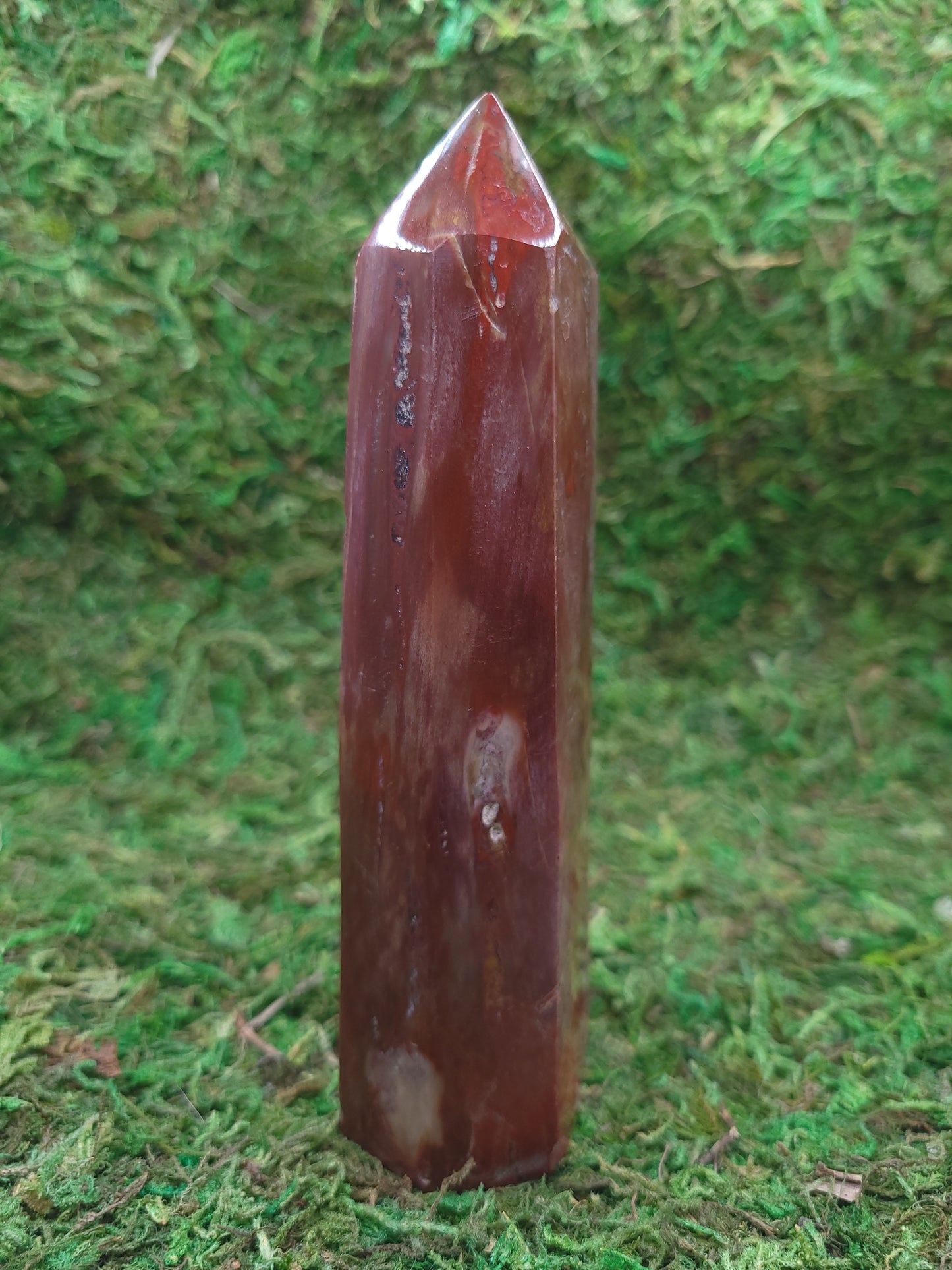 Petrified Wood Tower