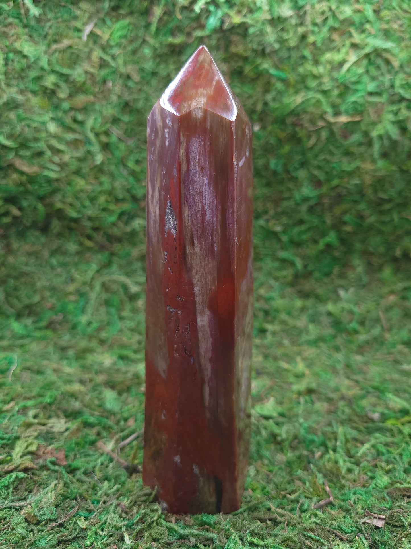 Petrified Wood Tower