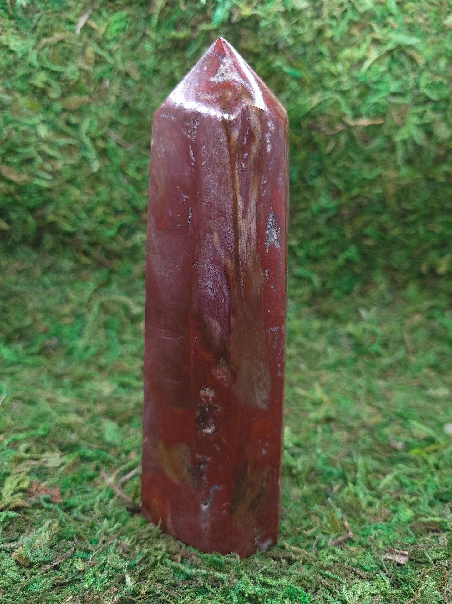 Petrified Wood Tower