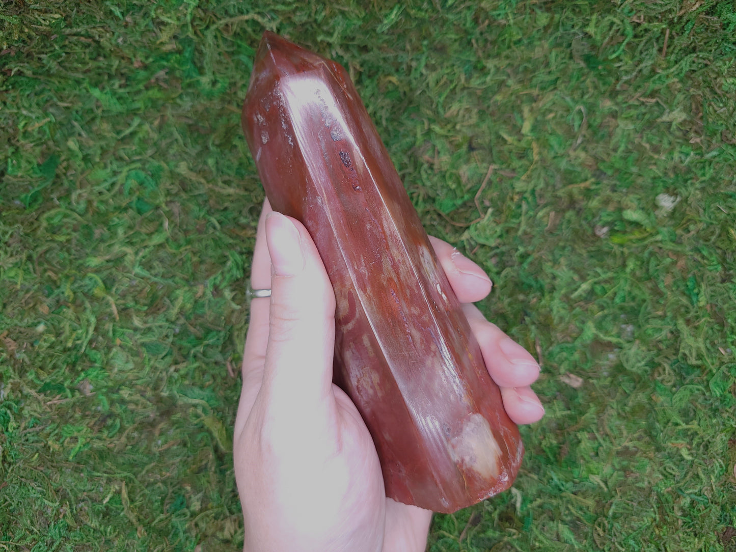 Petrified Wood Tower