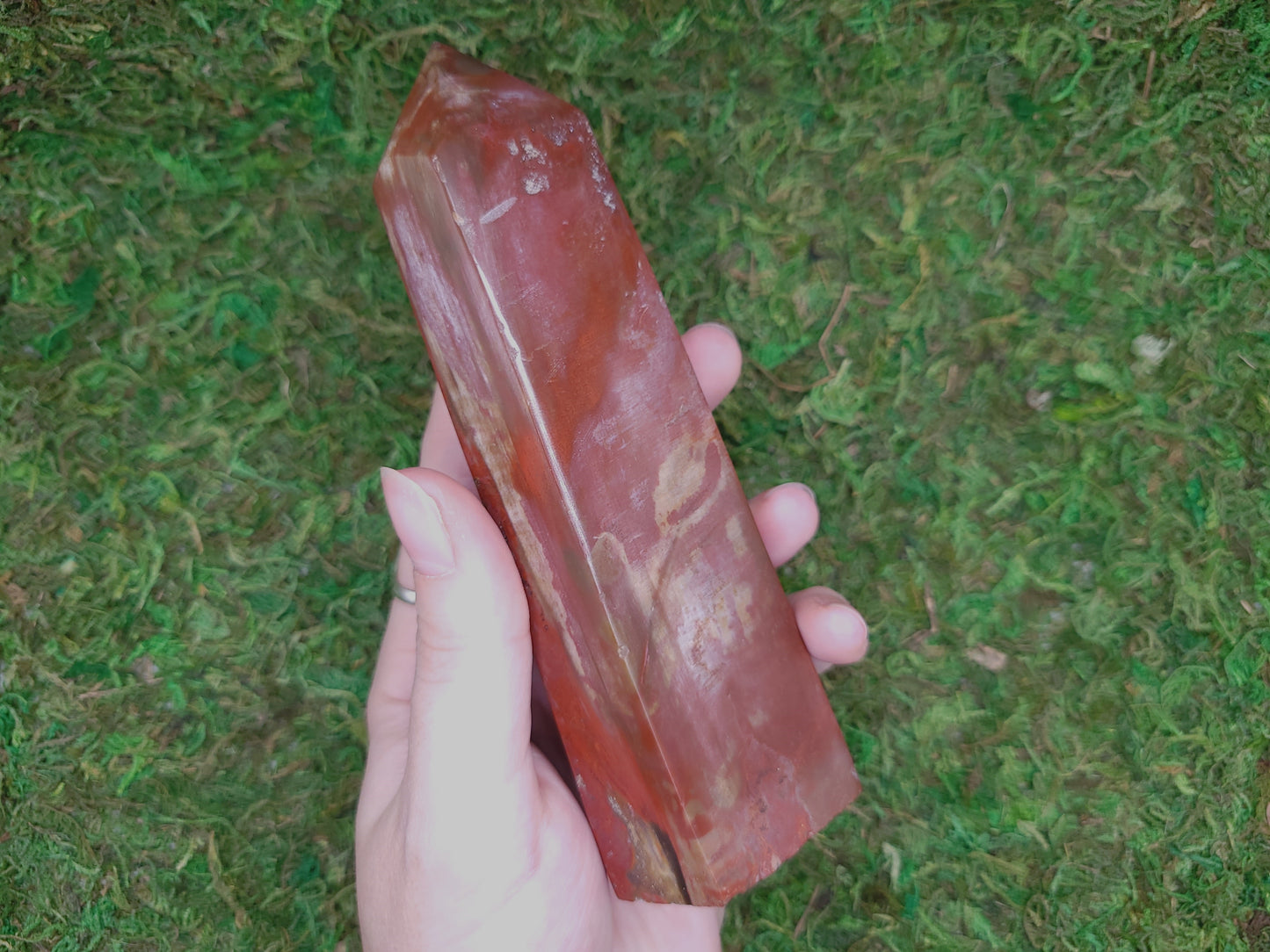 Petrified Wood Tower