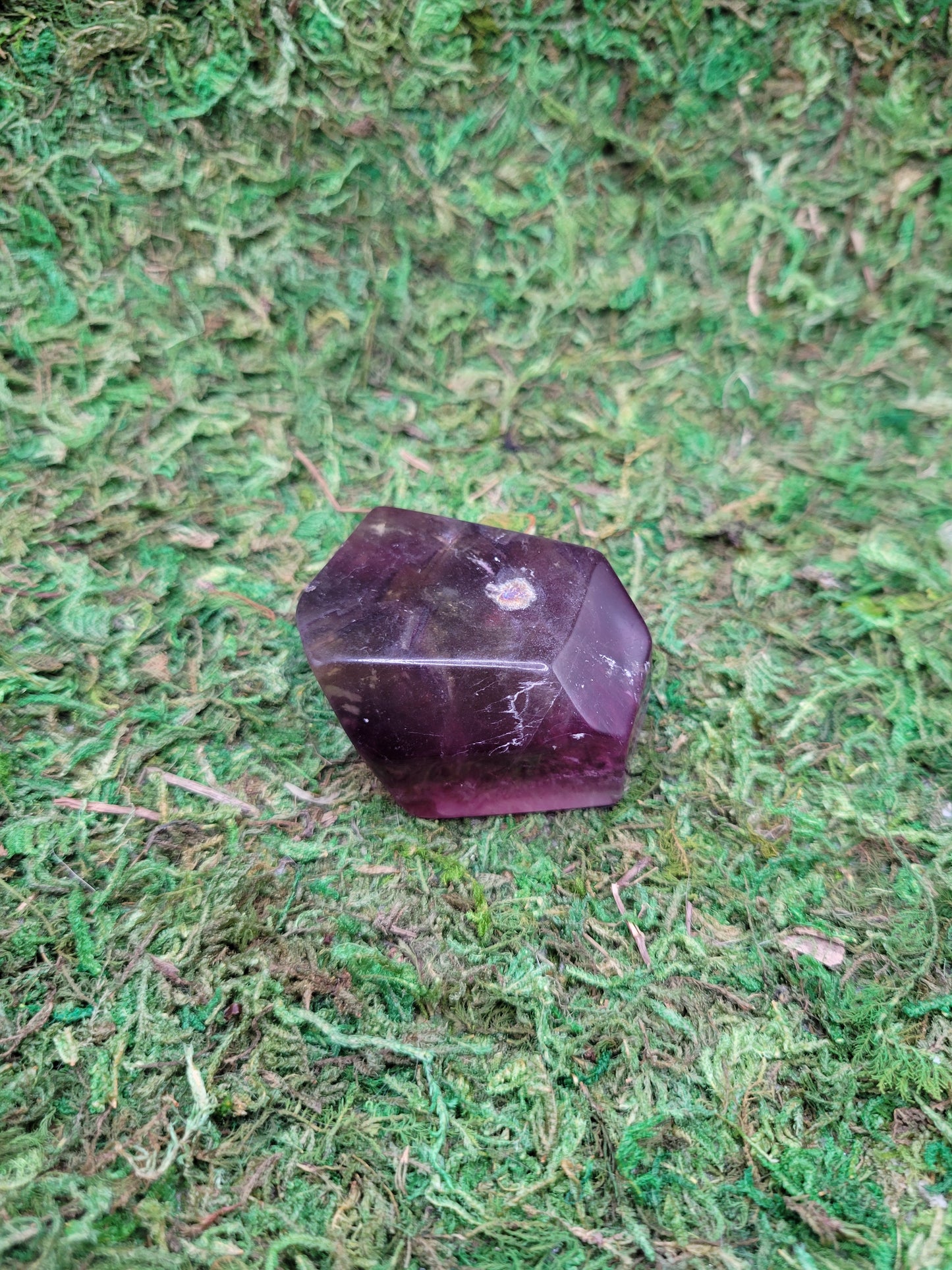 Rainbow Fluorite Freeform