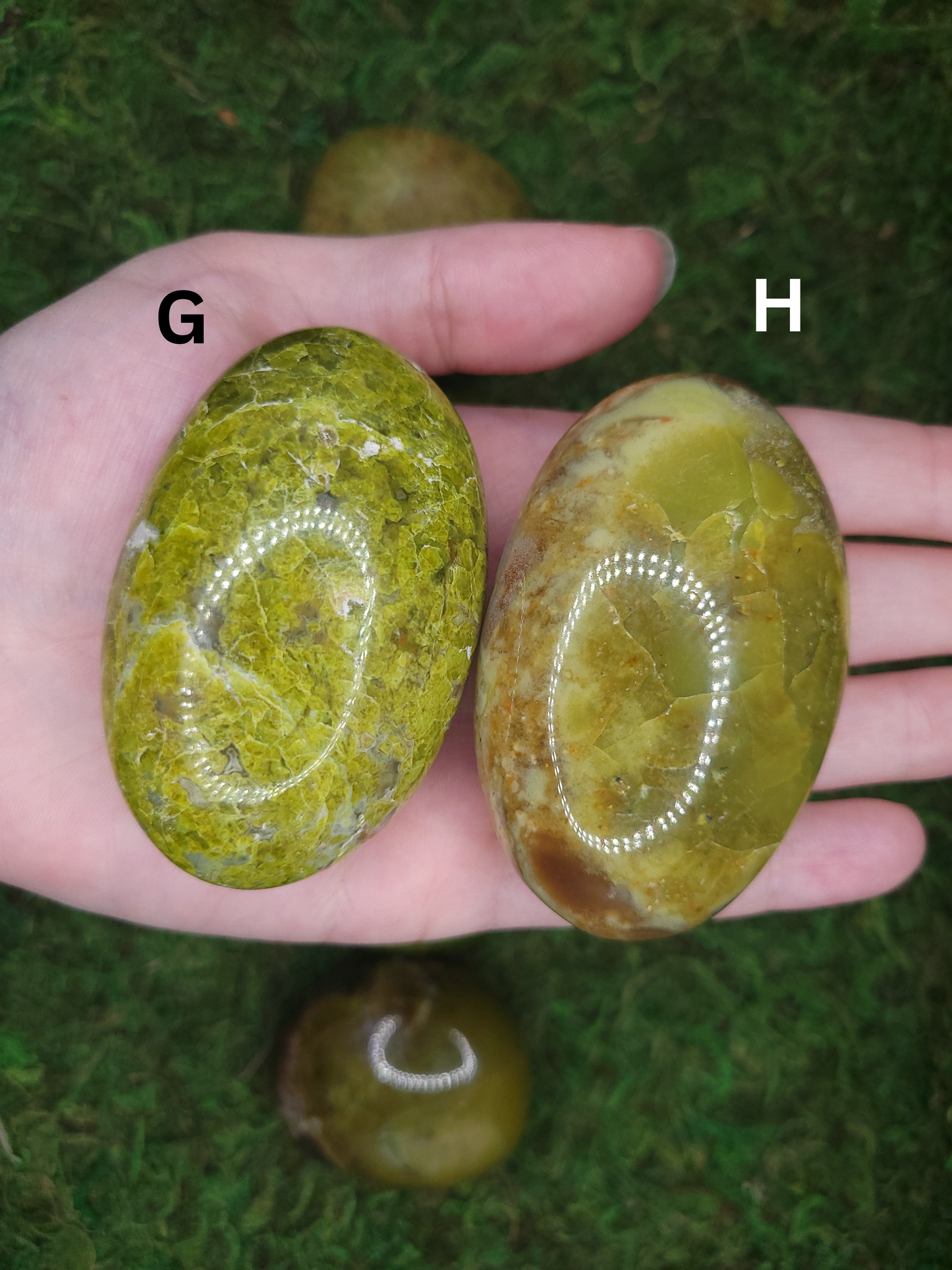 Green Opal Palm Stones