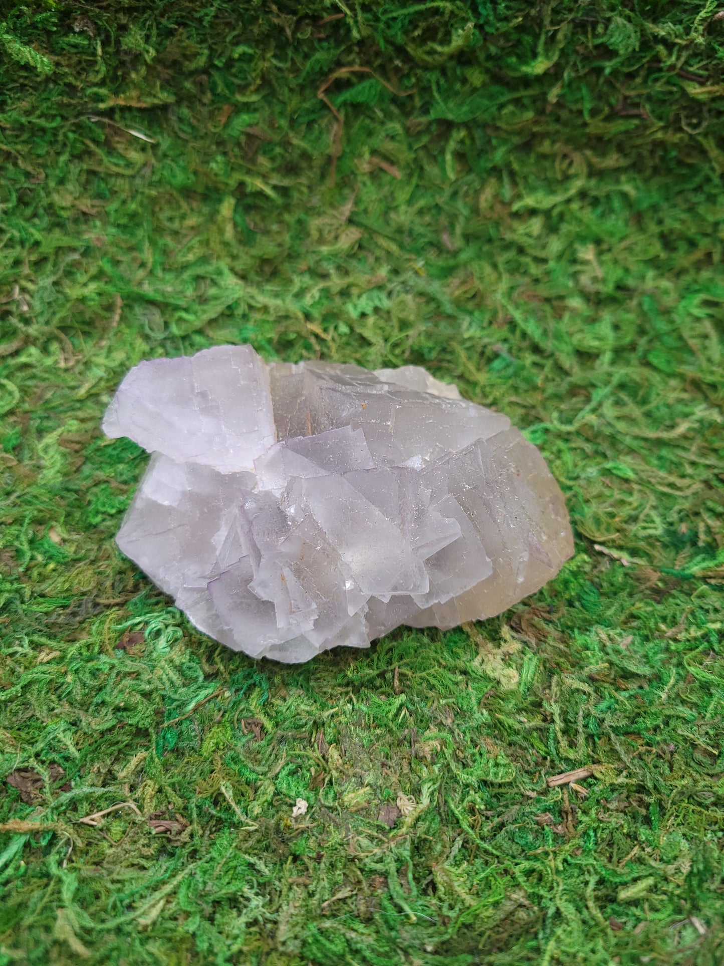 Cubic Fluorite Freeform