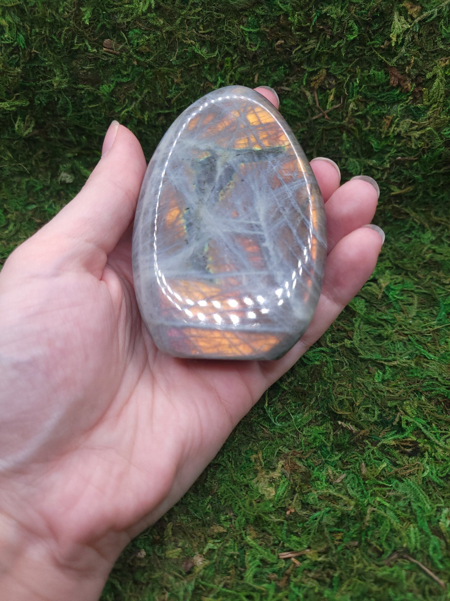 Labradorite Freeform - Pink/Orange