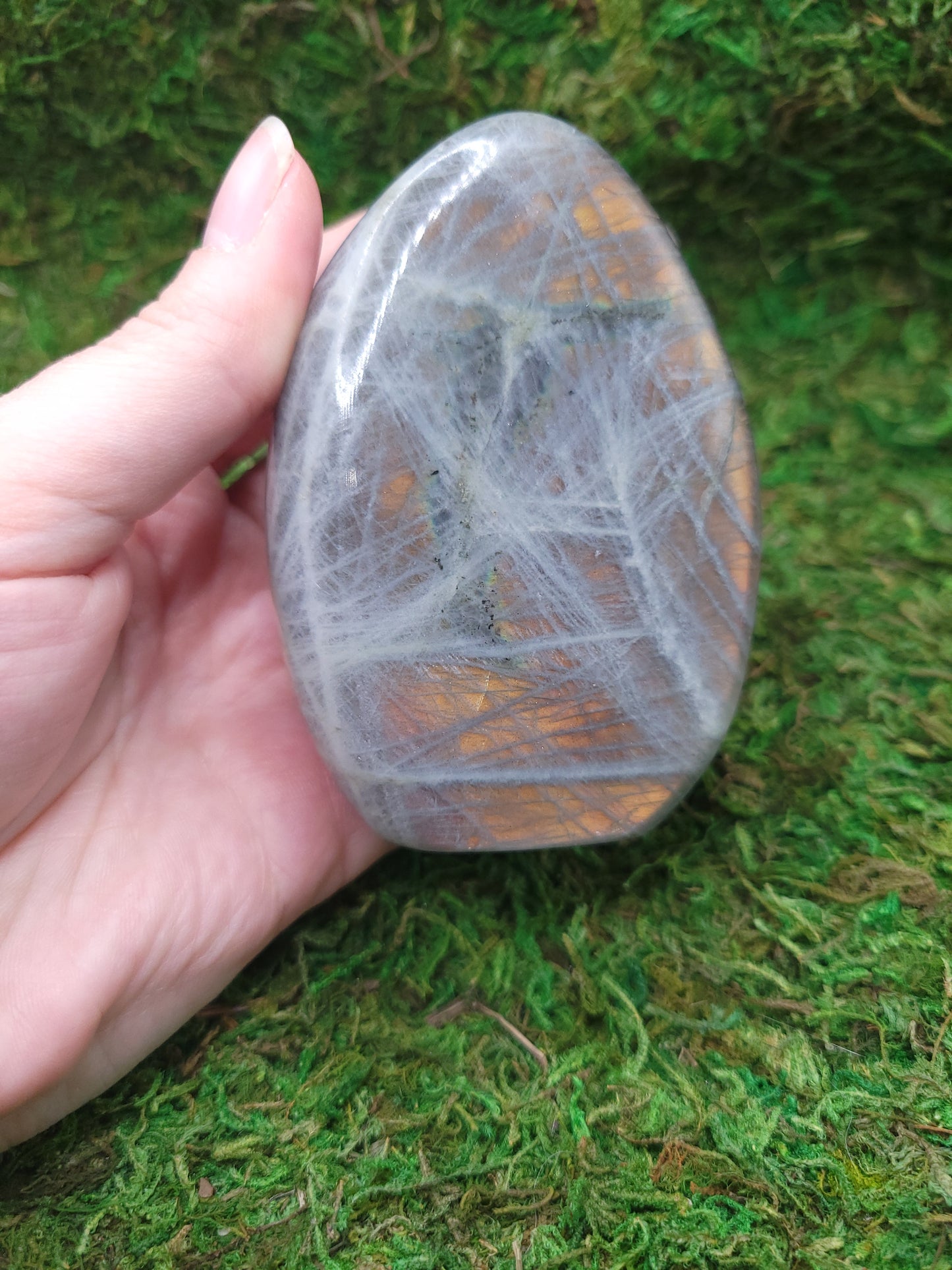 Labradorite Freeform - Pink/Orange