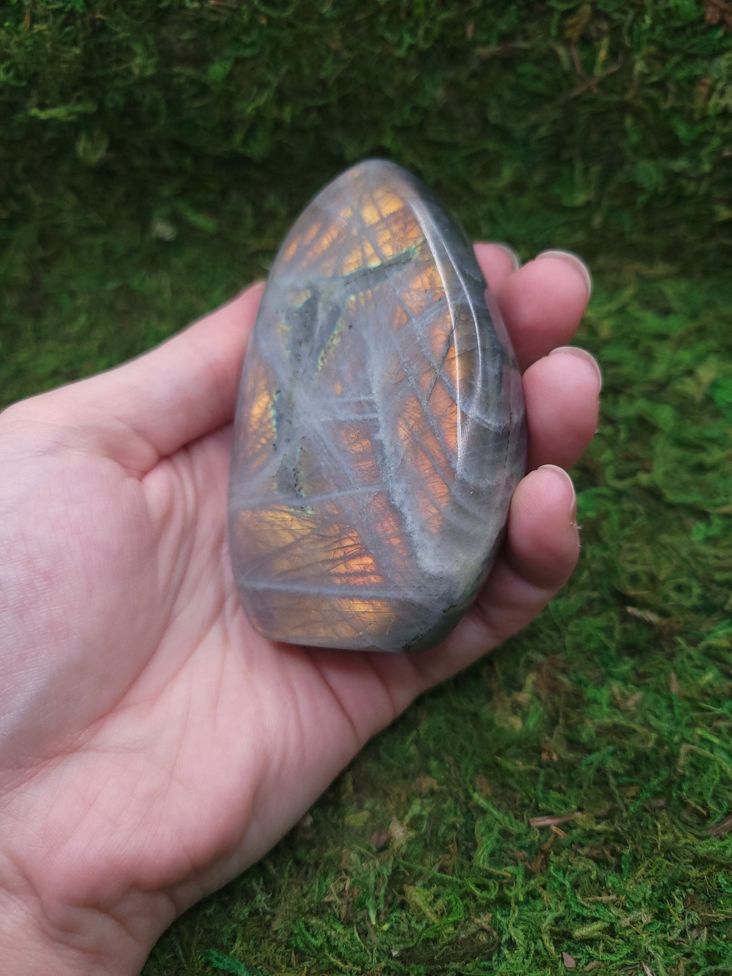 Labradorite Freeform - Pink/Orange