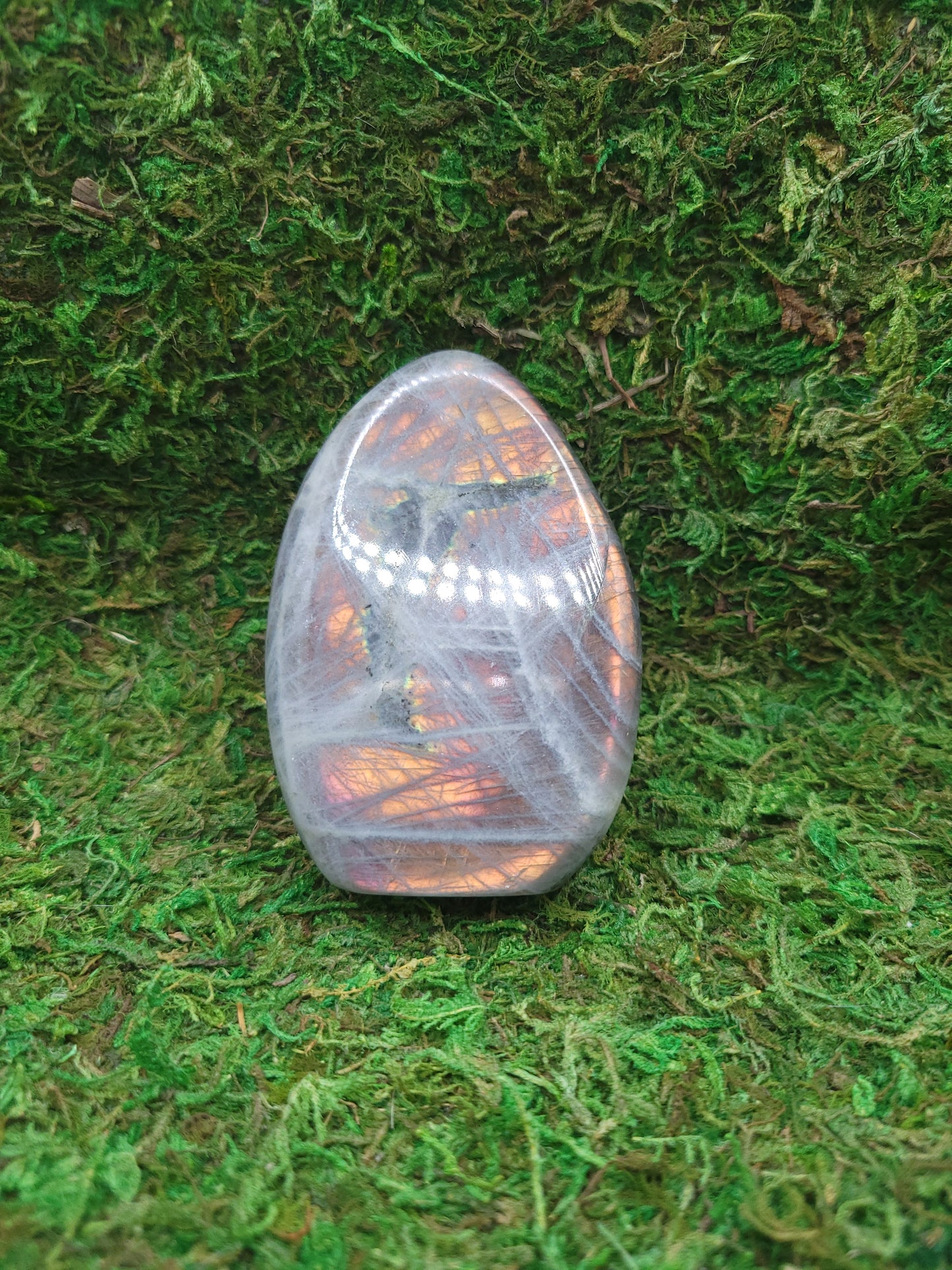 Labradorite Freeform - Pink/Orange