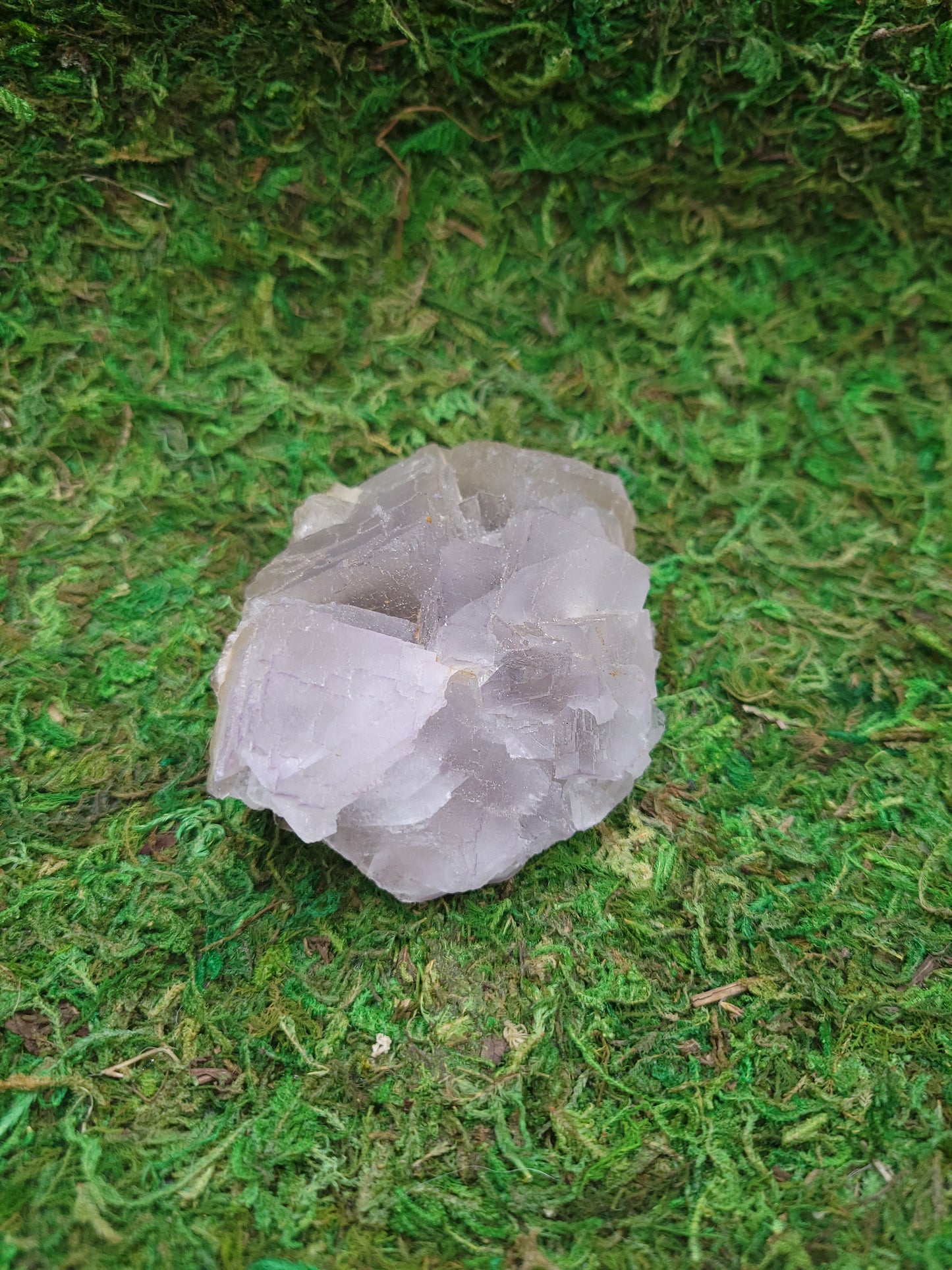 Cubic Fluorite Freeform