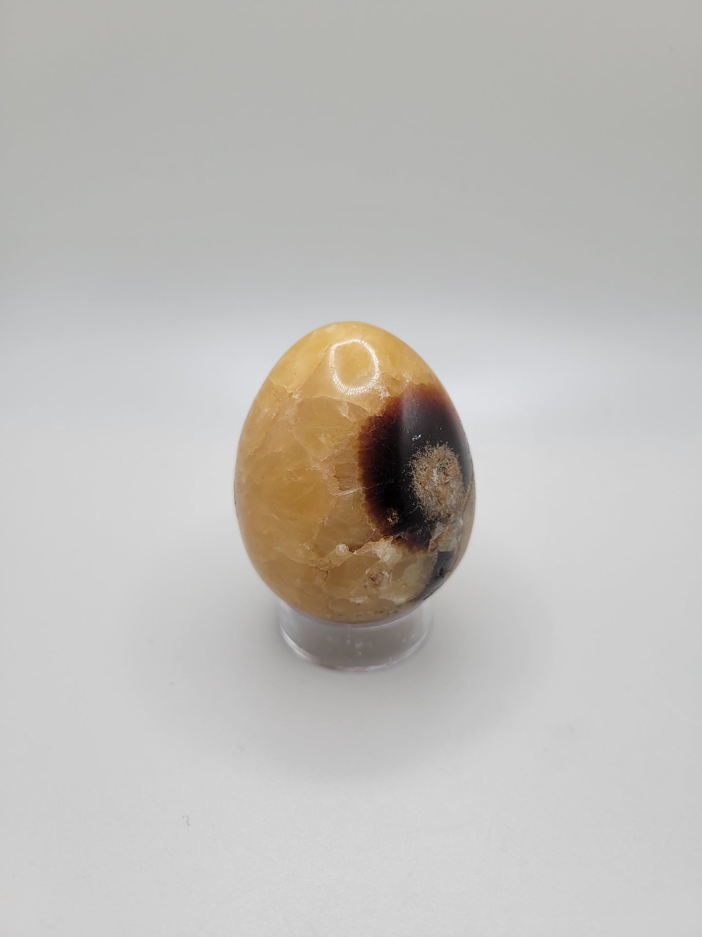 Septarian Egg - Small