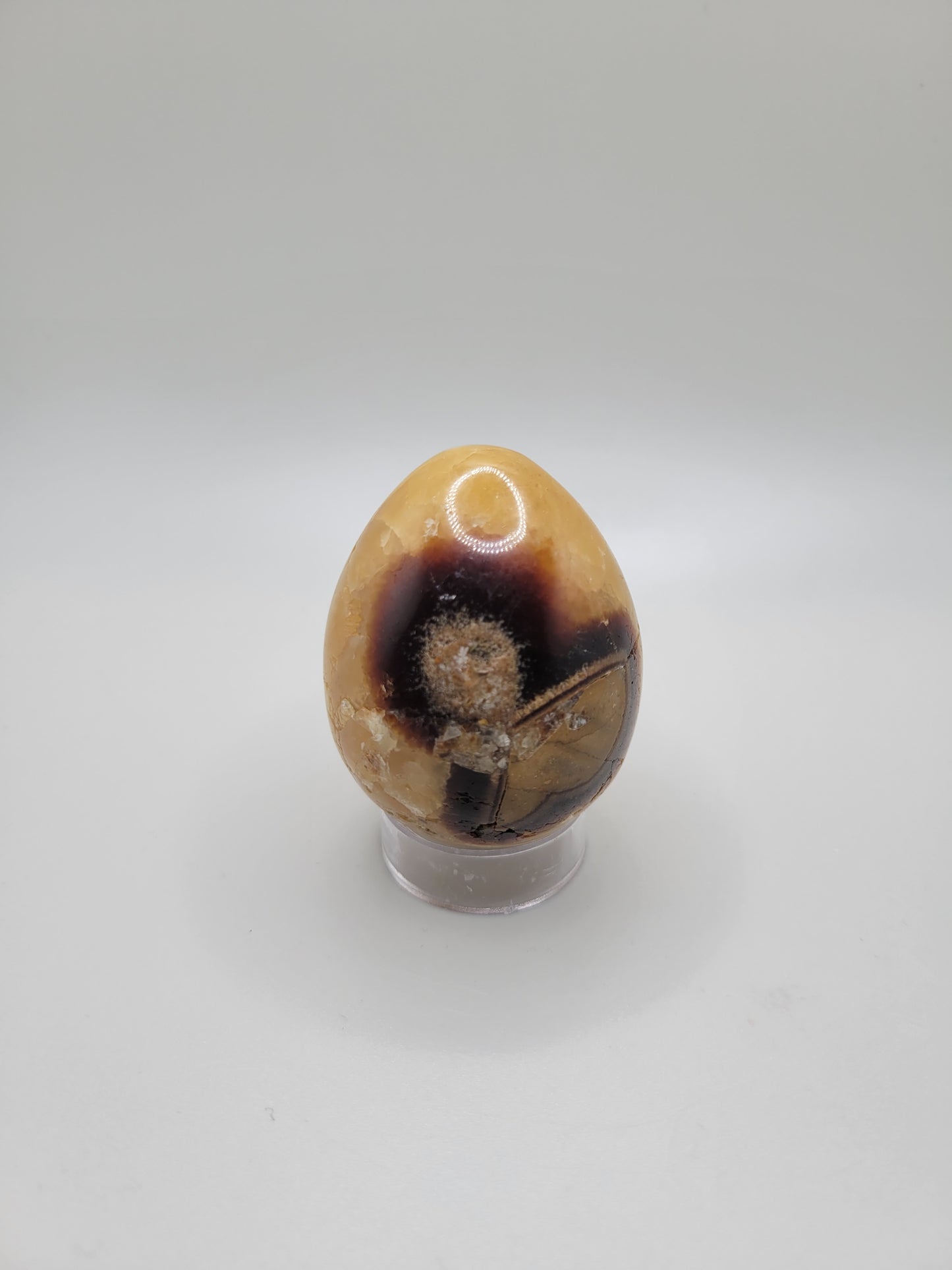Septarian Egg - Small